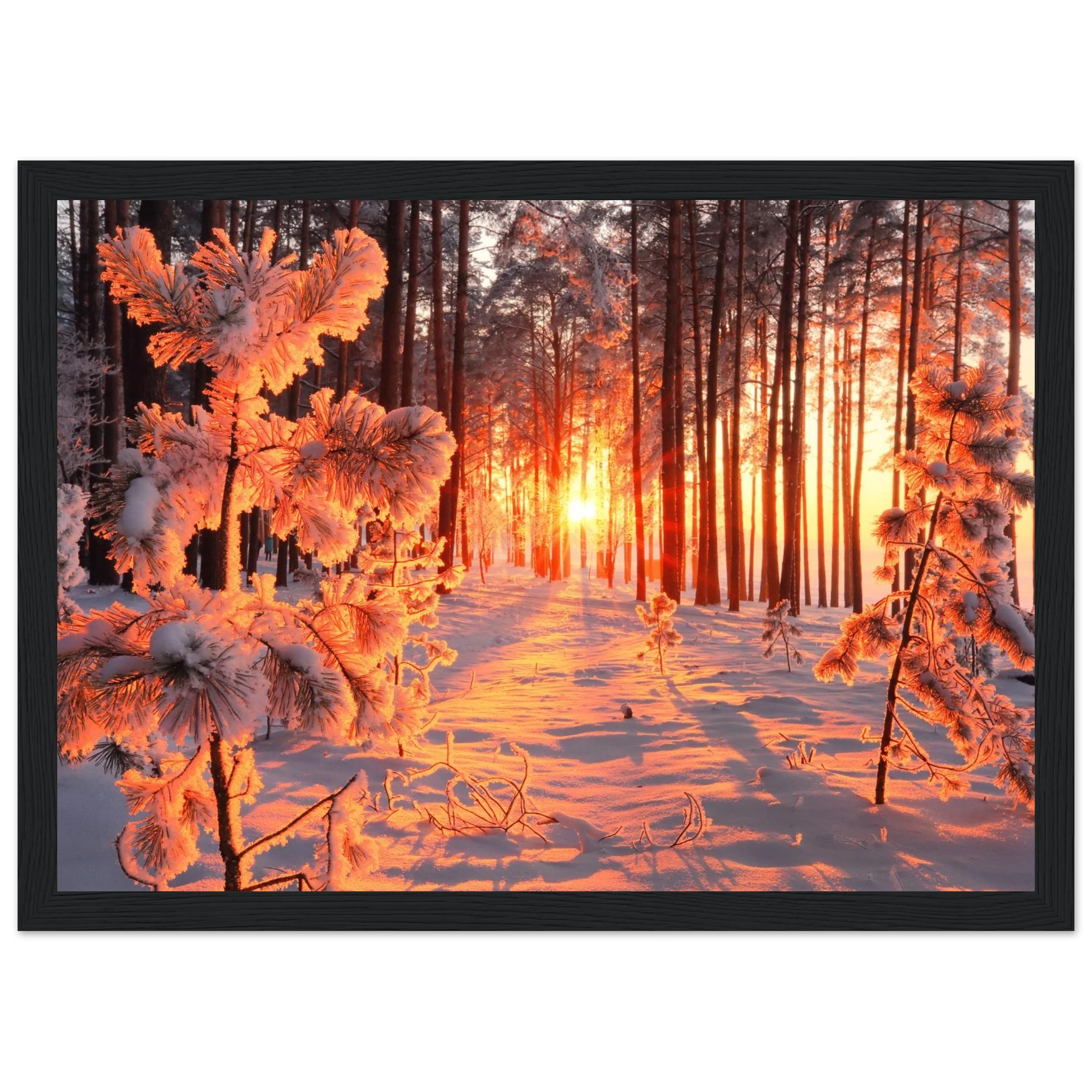 a9be268a-743c-4d39-a873-aac432a76fc2