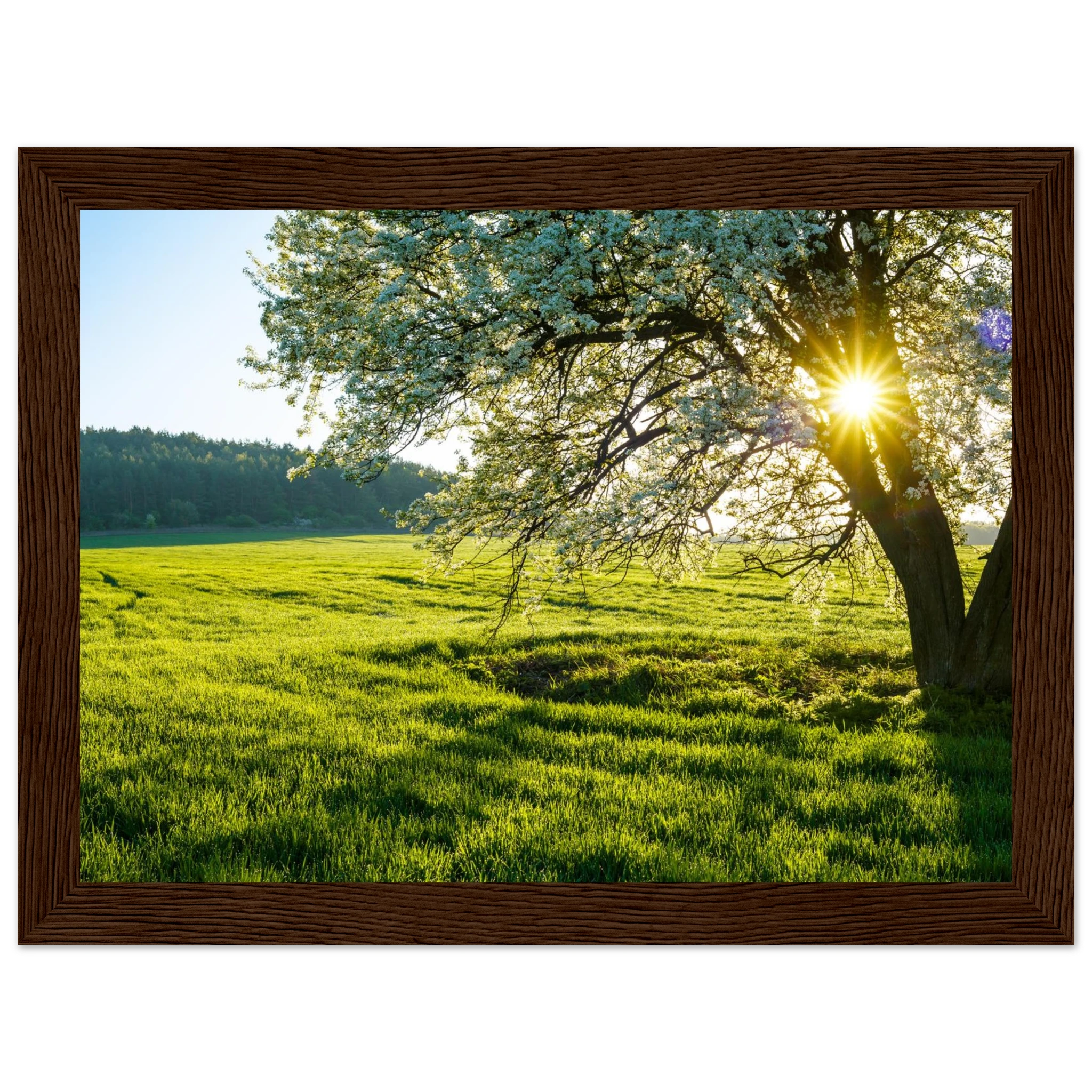 a9c57d03-b0f3-4080-baf4-ae6b52c41a2d