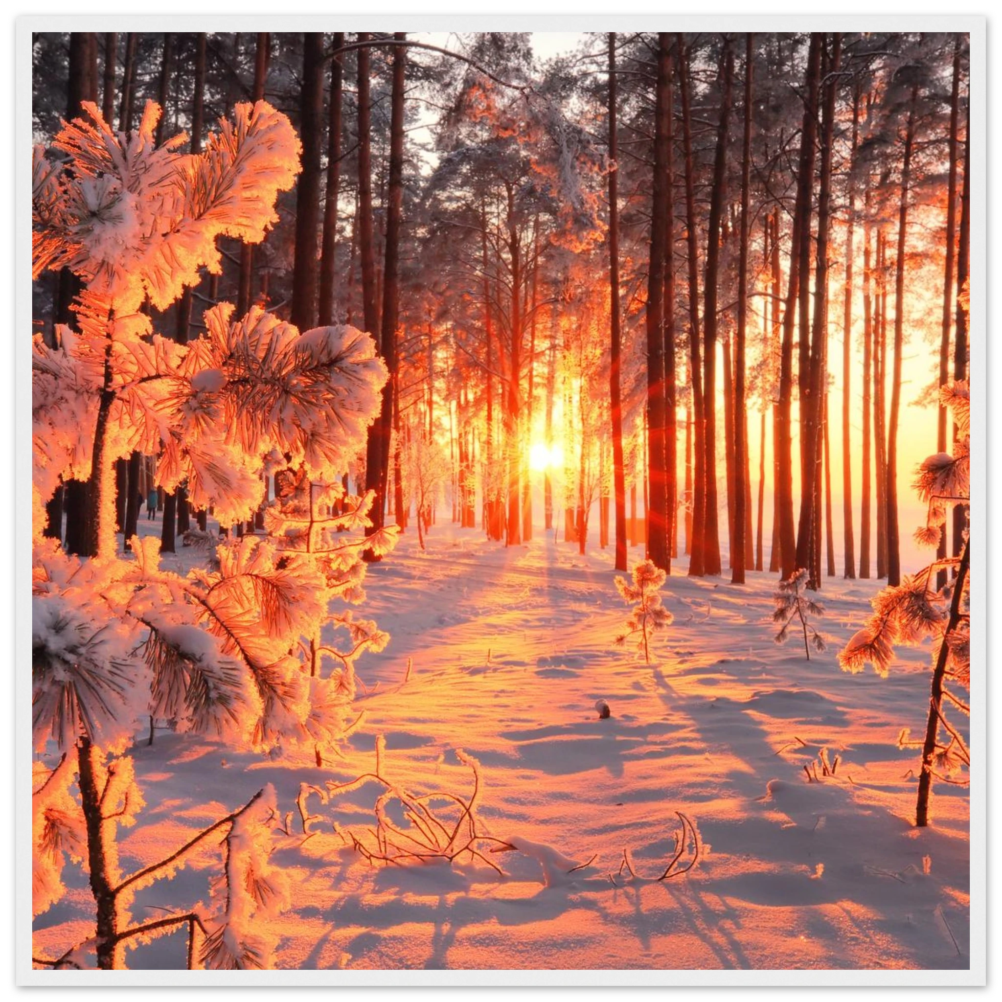 a9cac1e3-2181-42d3-b235-2d89297c112c