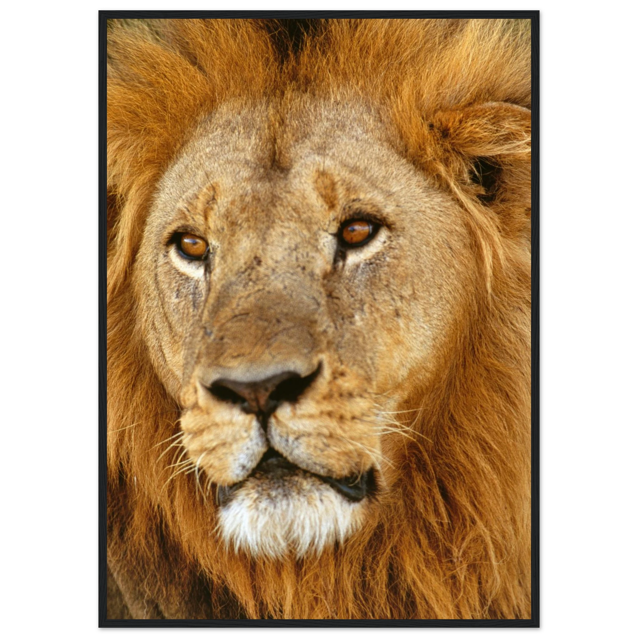 a9dfaa5a-1fd9-48c3-b036-fa5fb946b887