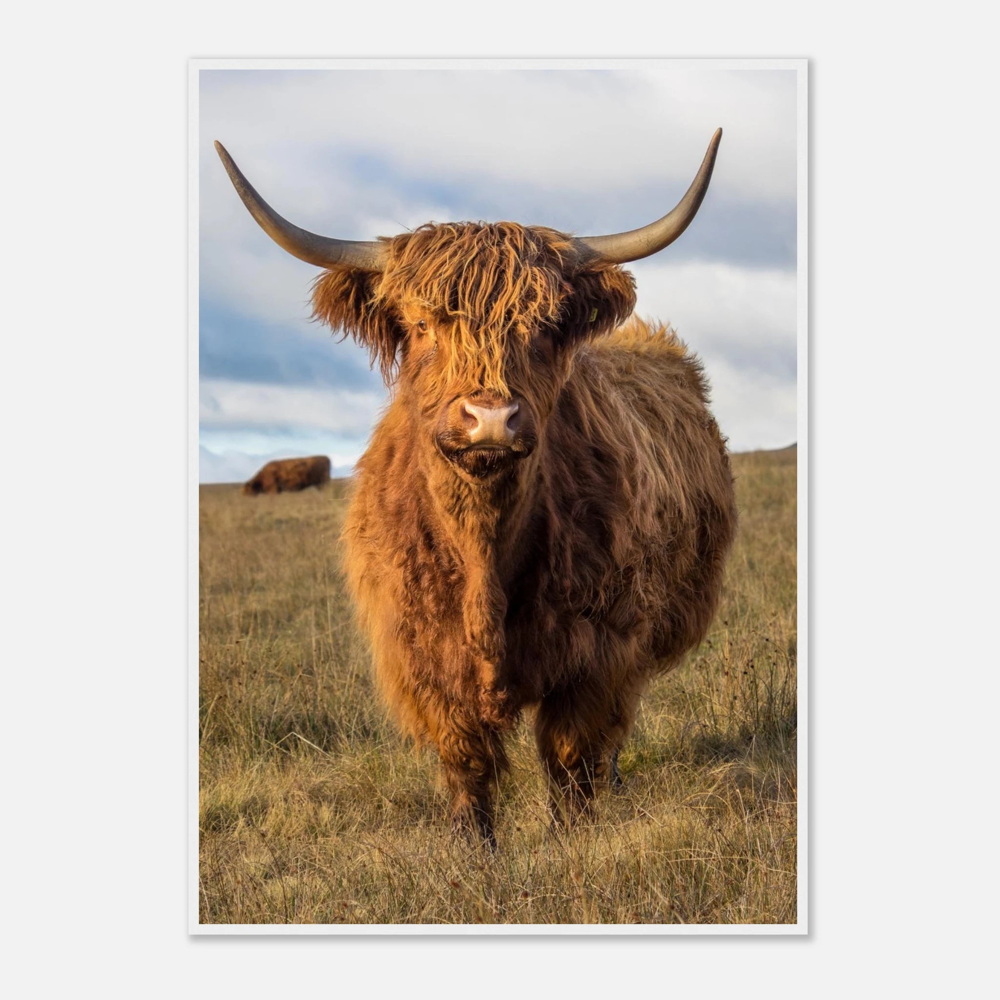 a9f46c90-d0d2-4820-b231-ff46ff7f4049