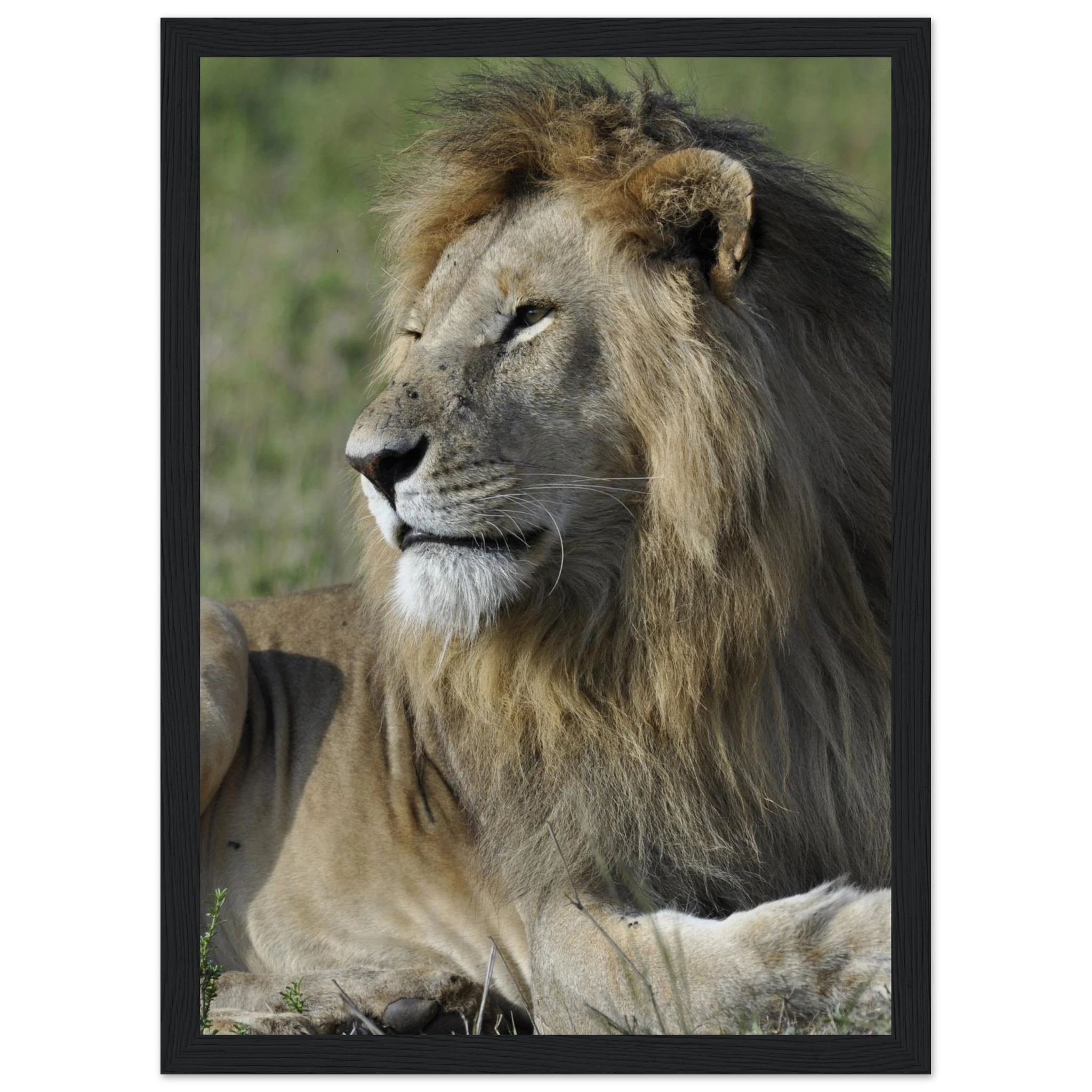 aa0f0bf4-1210-453b-9fa4-9164f9c3d76d