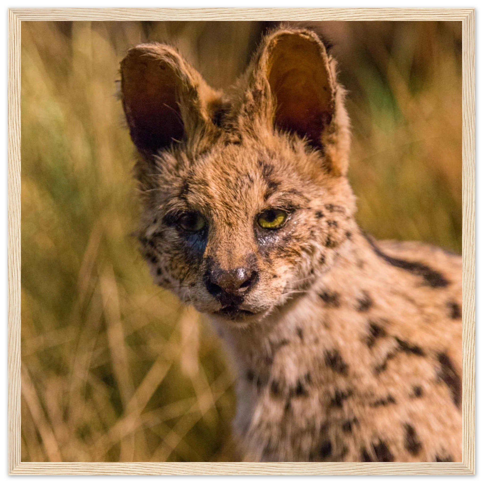 aa1ebd99-0241-4751-8898-41e64c31d1b5