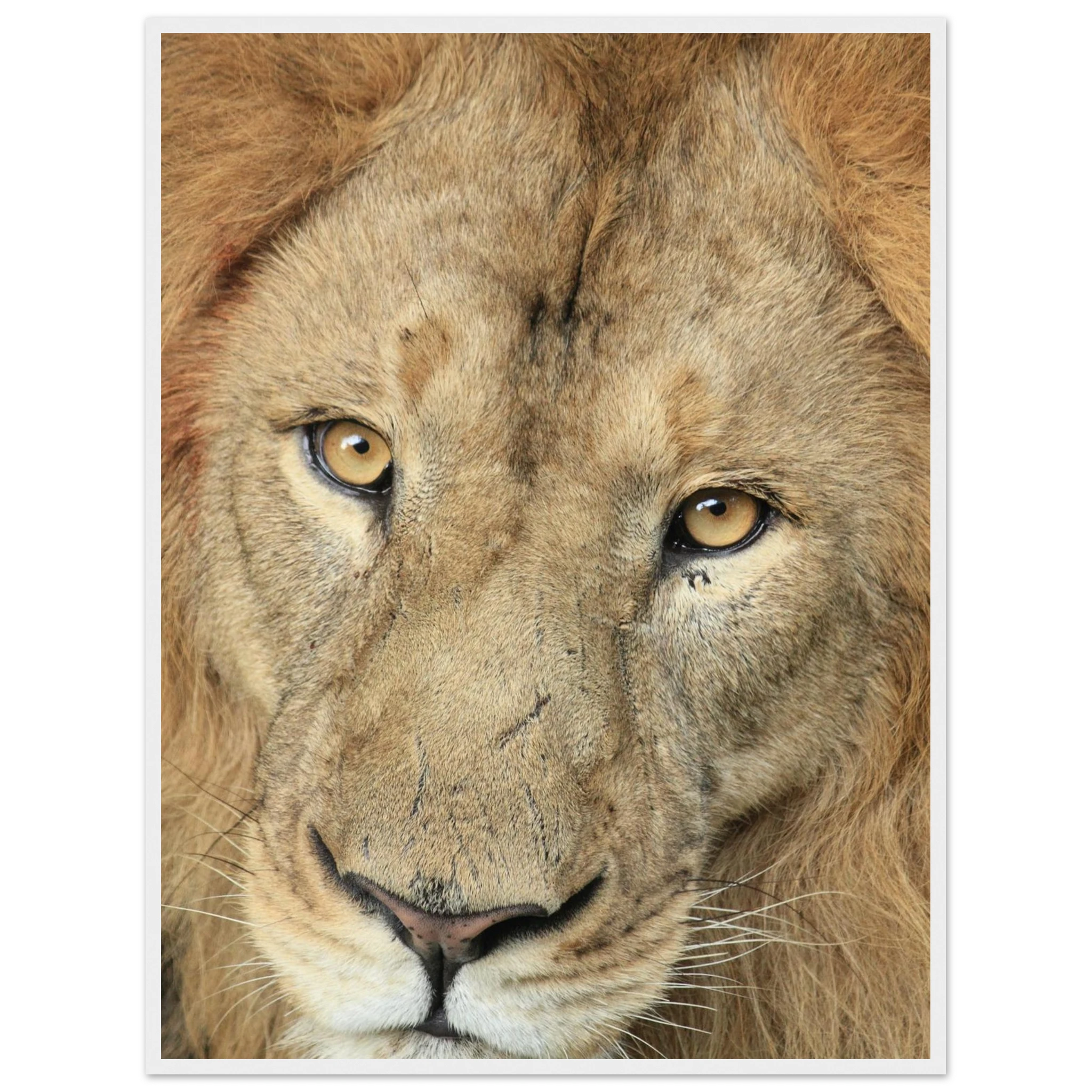 aa247e2a-8692-4955-80f4-1166ff4d7381