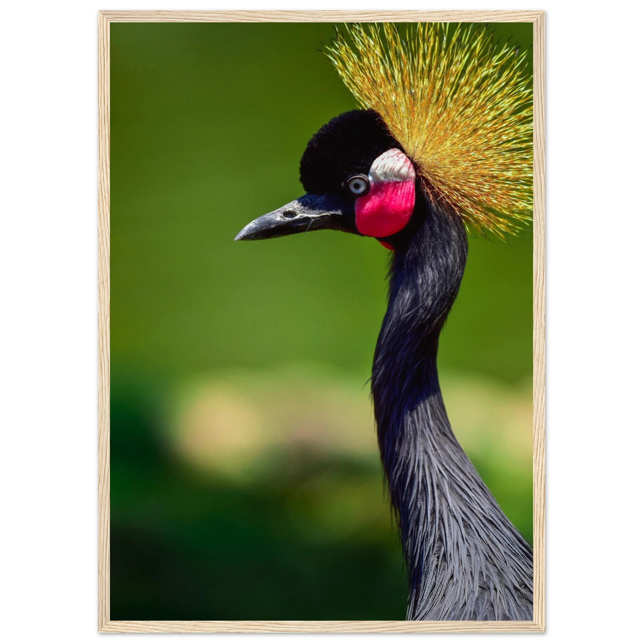 aa391c2d-4c11-461f-92e0-7d188e93aa29