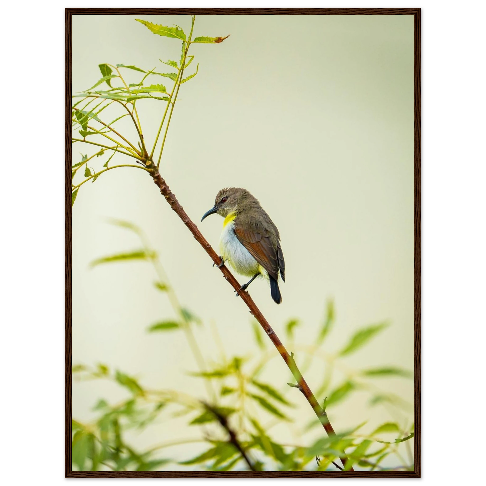 aa455646-cddc-4725-99bb-faa4eae3725f