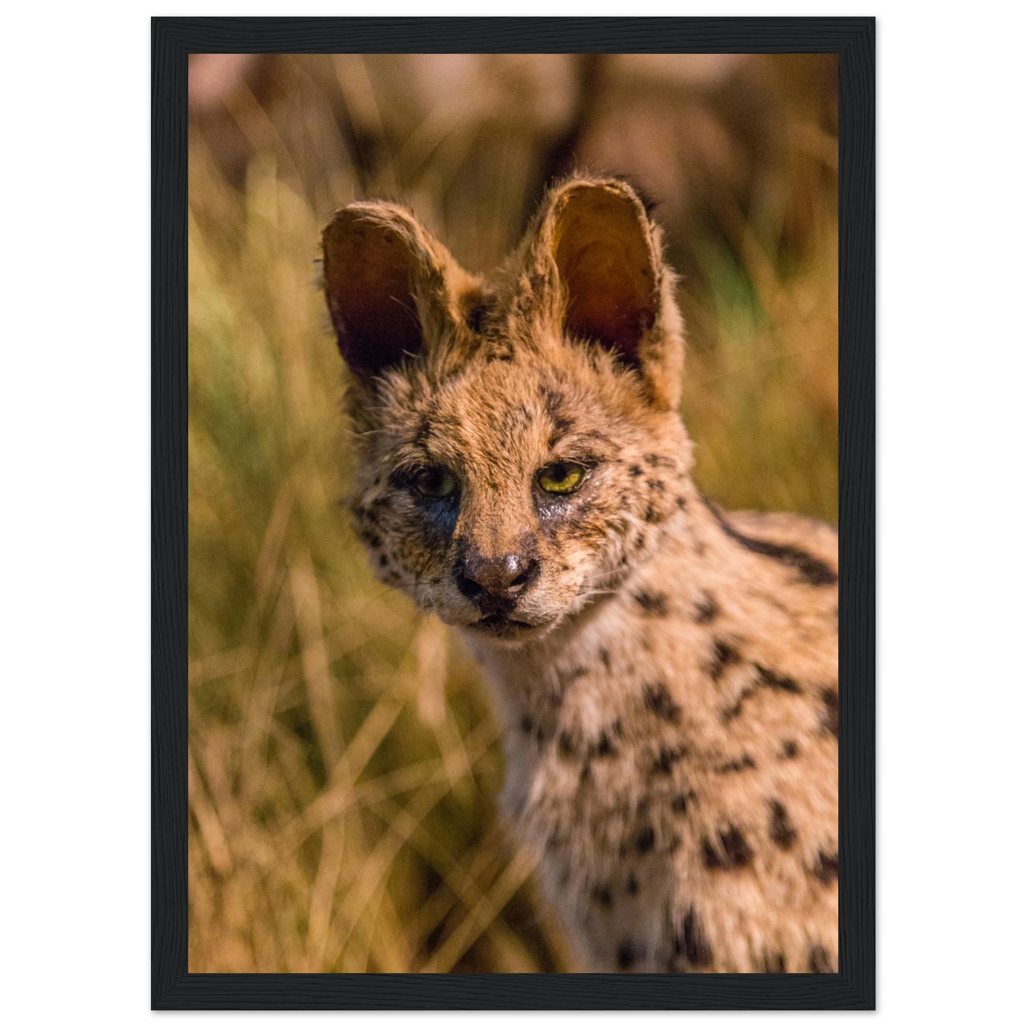 aa7c2f38-cd40-488b-98f7-ea310b758555