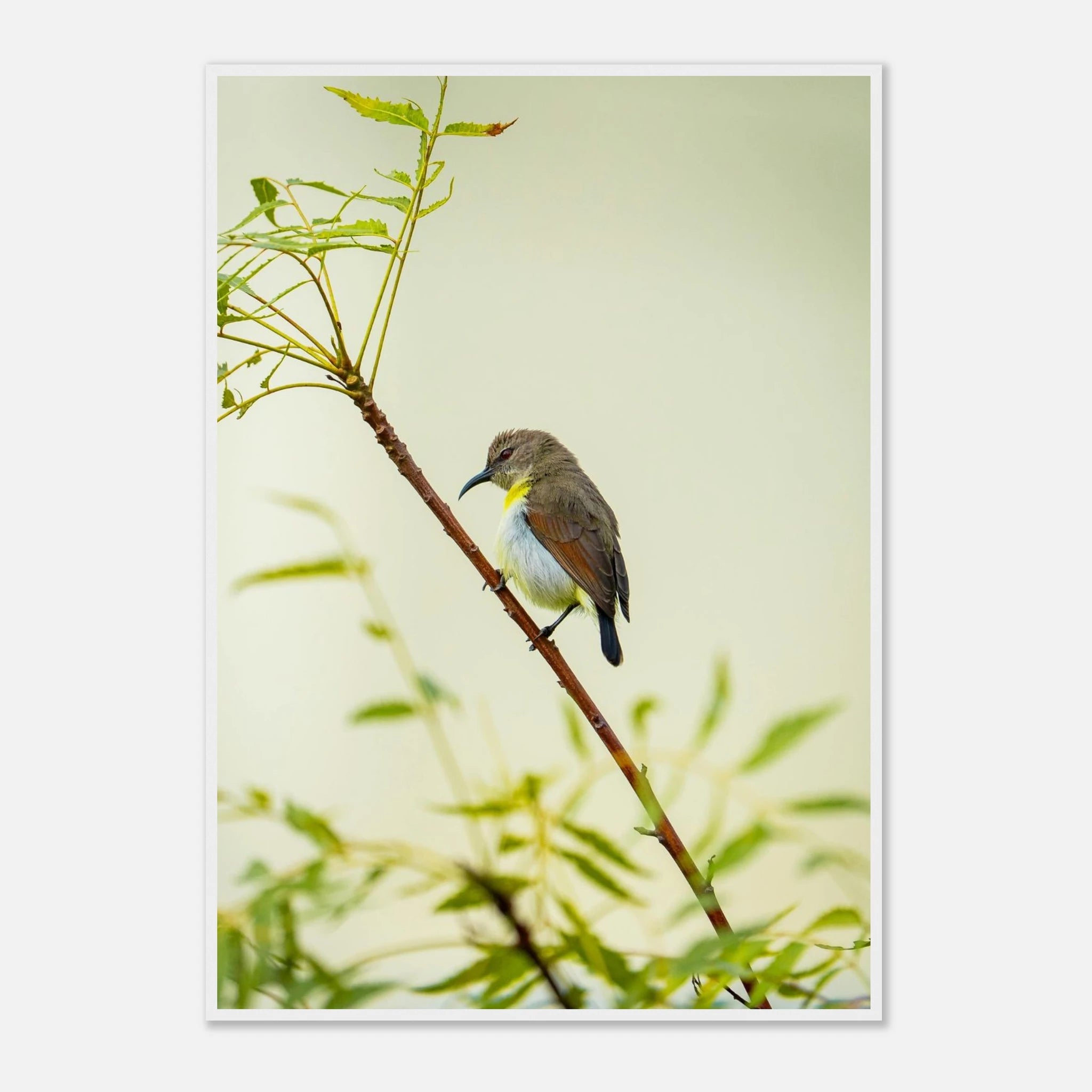 aa7c3df8-84fe-4770-ab1f-fd4e59c13efa