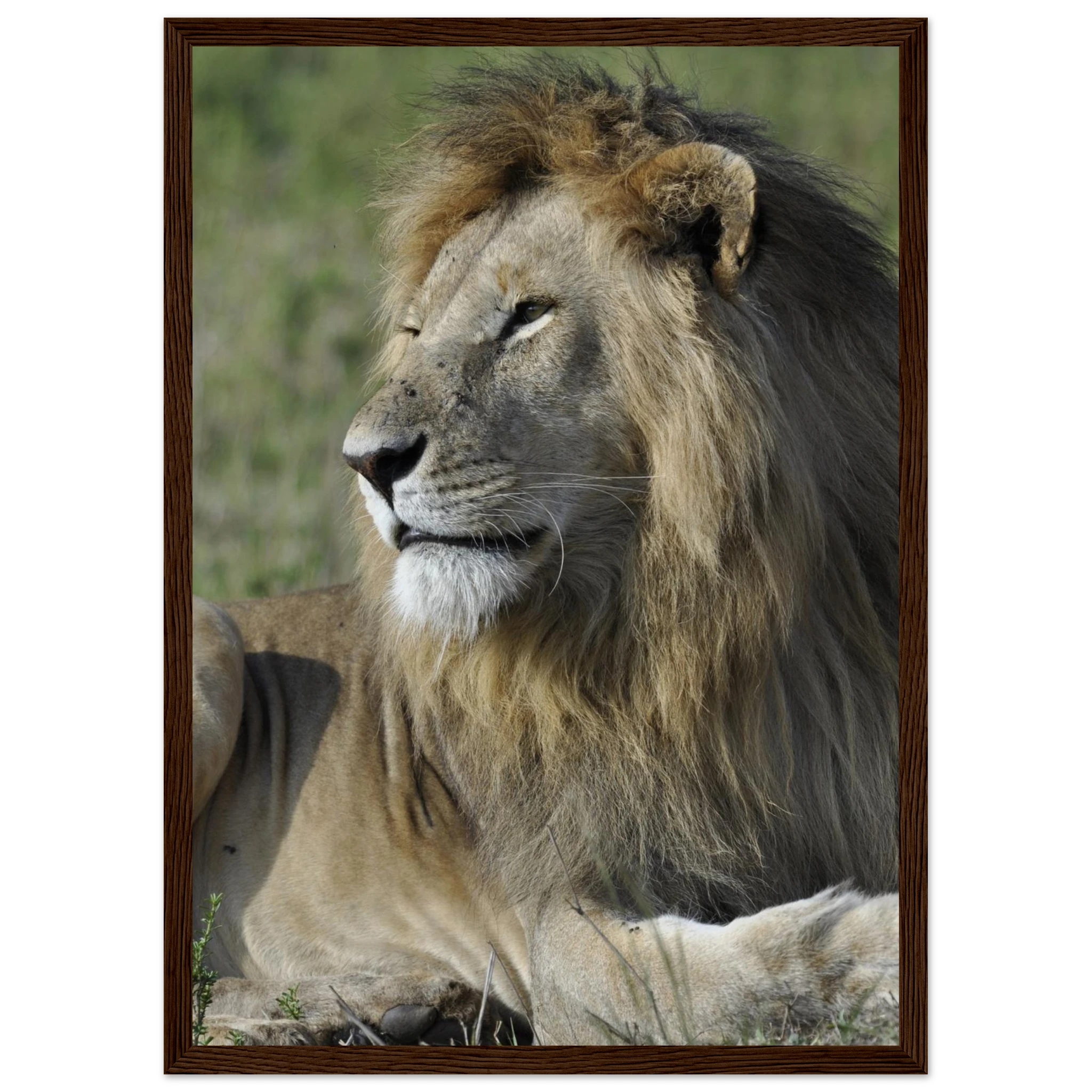 aa8fd713-c00a-4c69-8ff1-0d85d5870a88