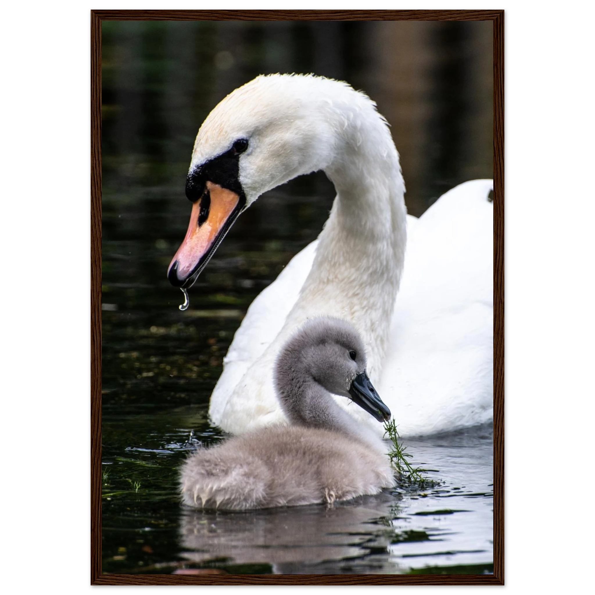 aaa172fd-21fc-453d-8b30-19cac174c9c4