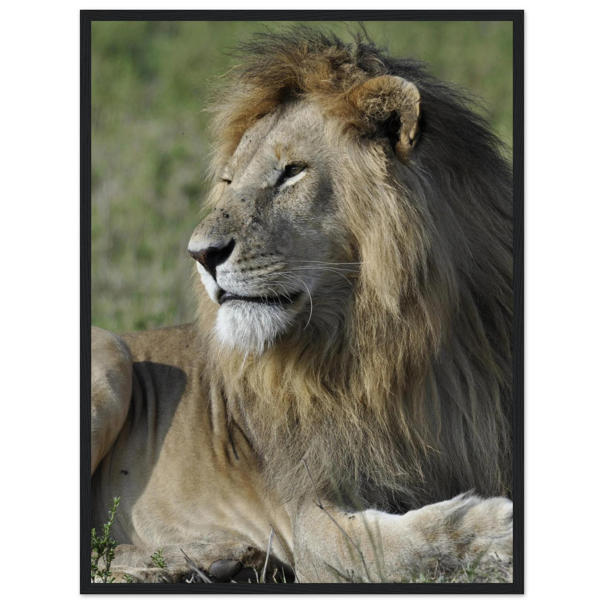 aabc2831-0d07-42cf-9580-8b5ec3fda165