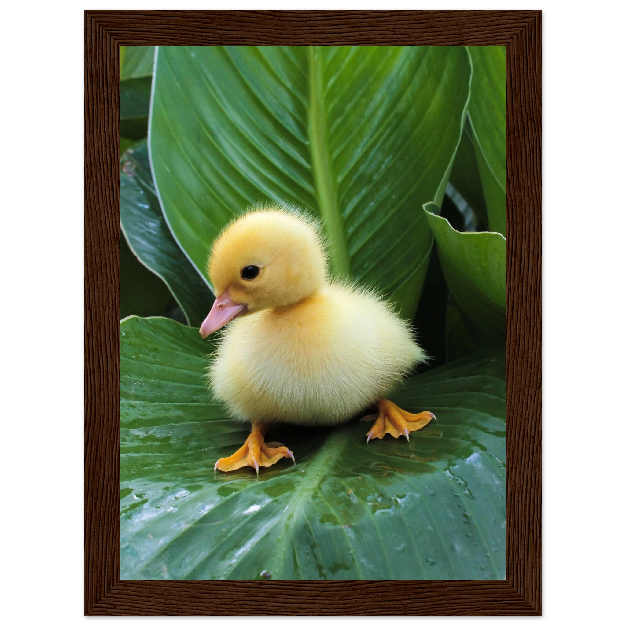 aac7fff5-3543-4f11-a2d3-ef9fddf87459