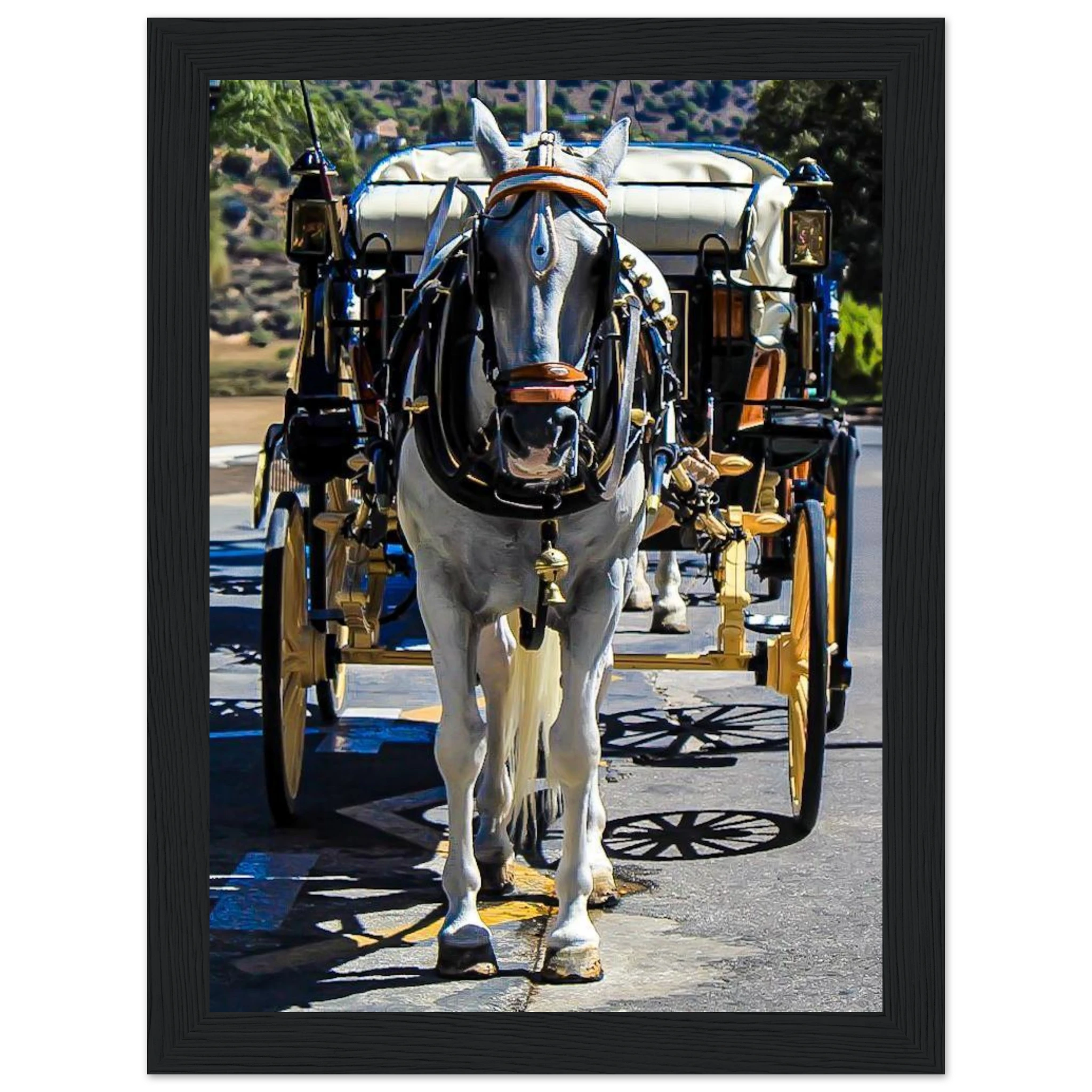 aaccc63c-5082-4961-aa2f-7a98f0e8e8d1