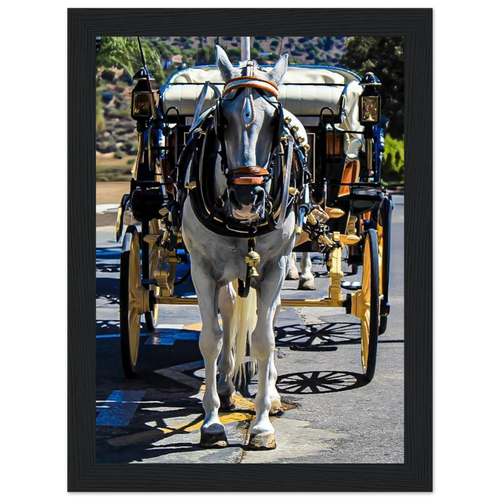 aaccc63c-5082-4961-aa2f-7a98f0e8e8d1