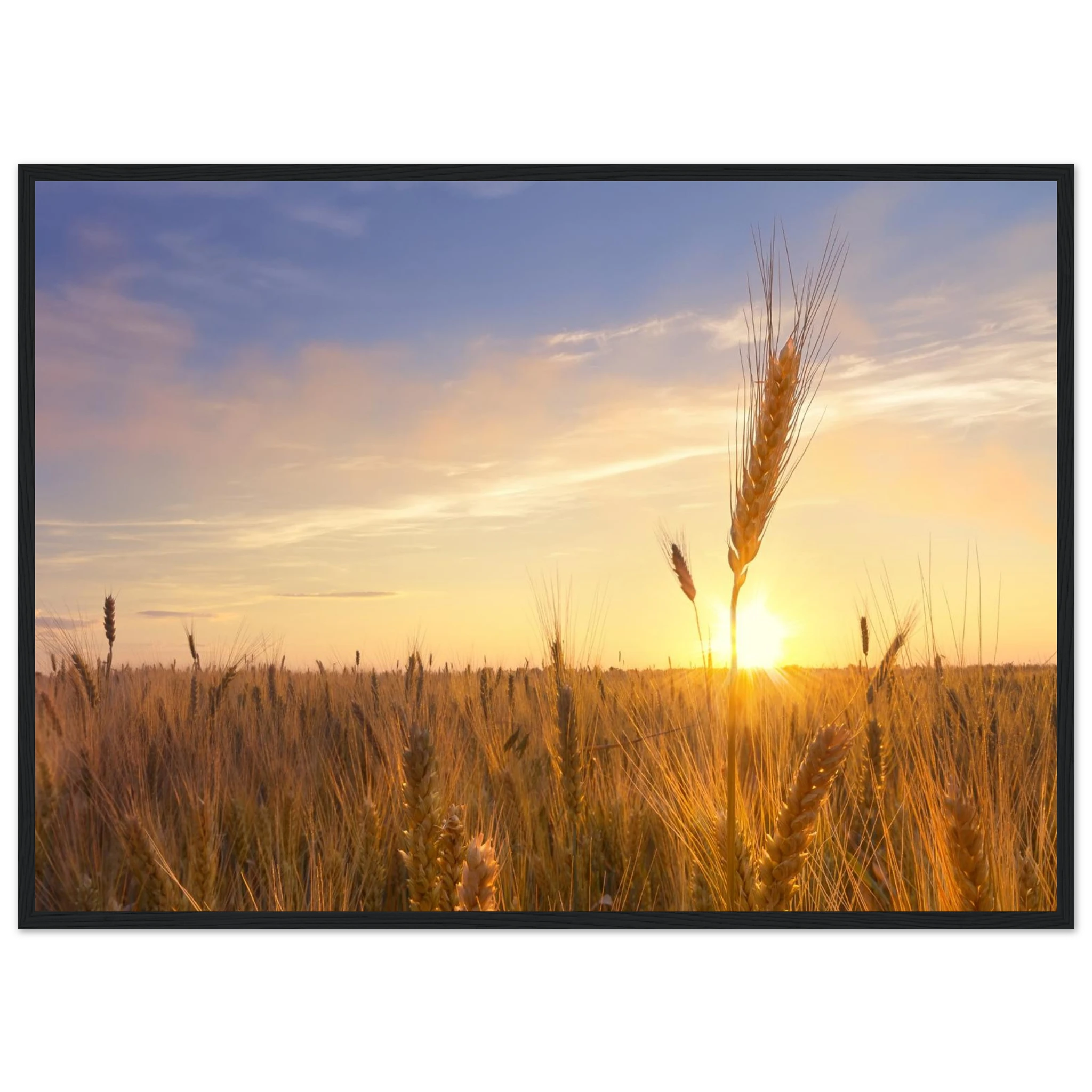 aacfe22f-bf43-4b67-a70d-08711b35aec7