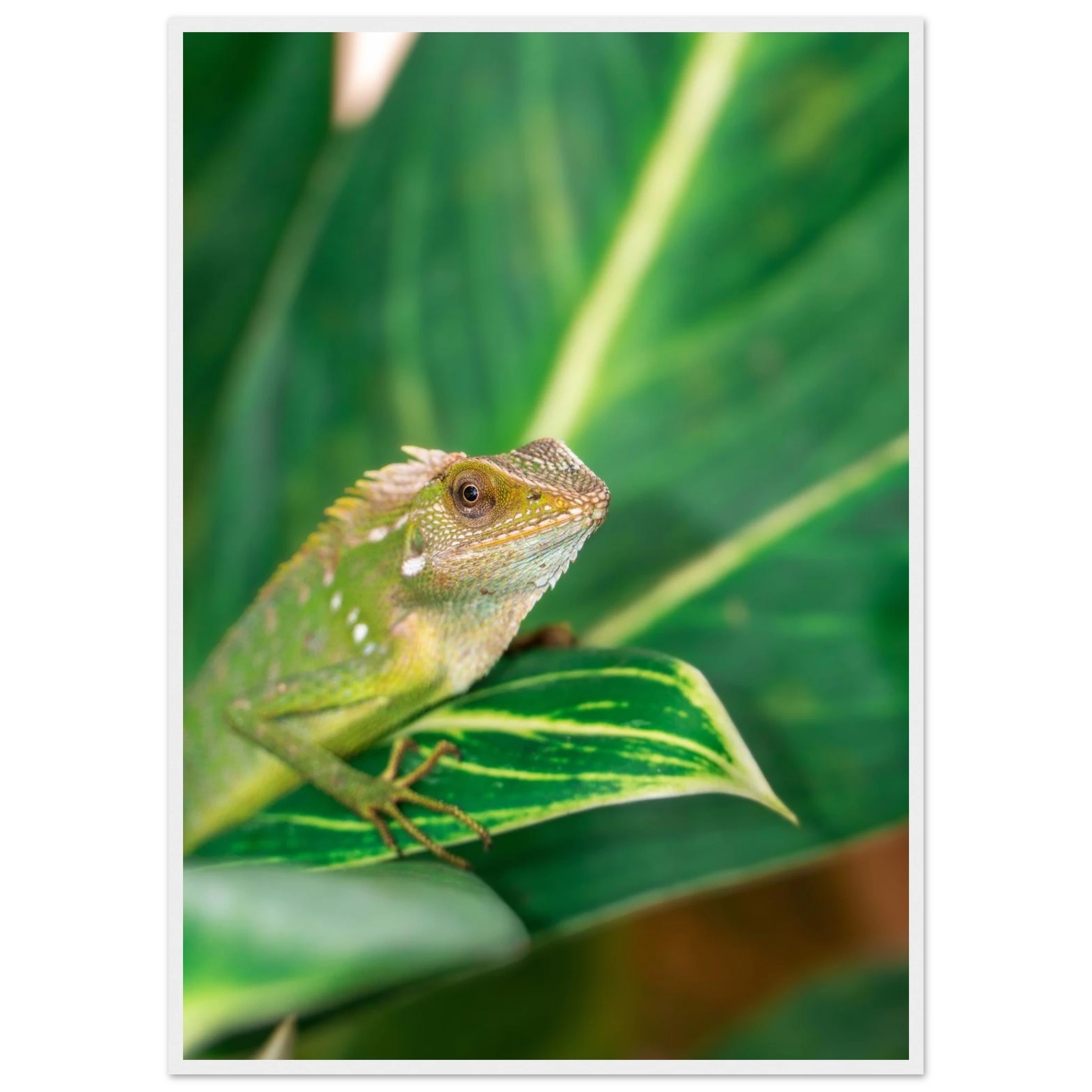 aadc8f2a-a3d1-42ba-882c-a34522cc3466