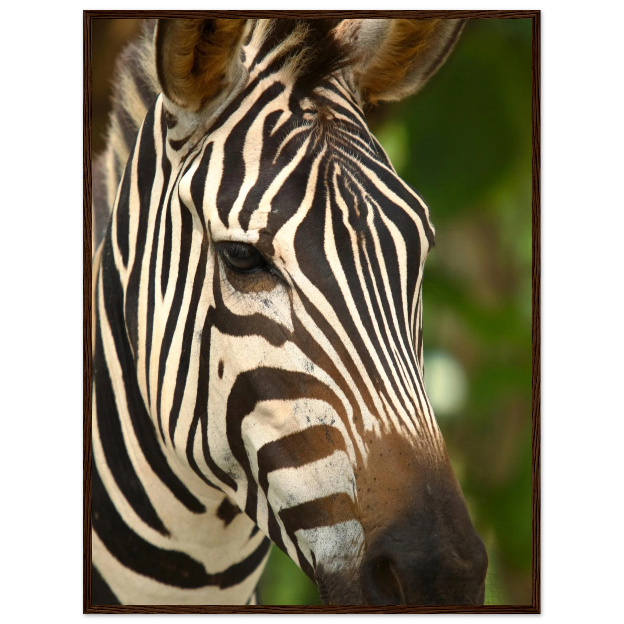 aae06080-c2f5-4da9-8280-5eebd4e72630