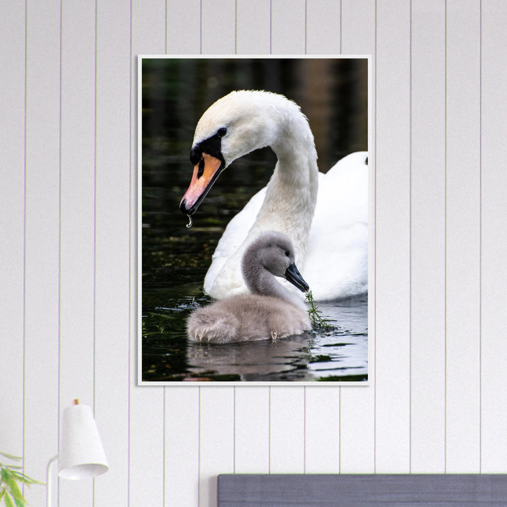 aae47214-76fa-4250-ba13-d4acc27912b9