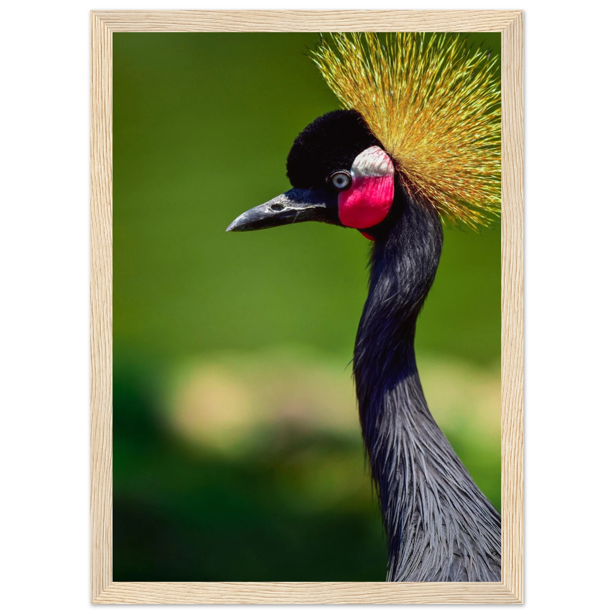 ab0a5b3f-e2e9-40a8-98f6-032e266ed6b1