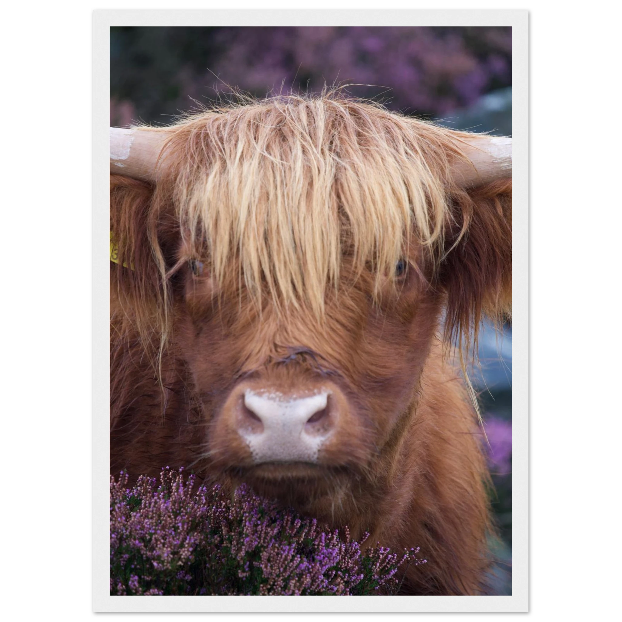 ab339970-bf08-4287-8a50-dfb6318dde2f