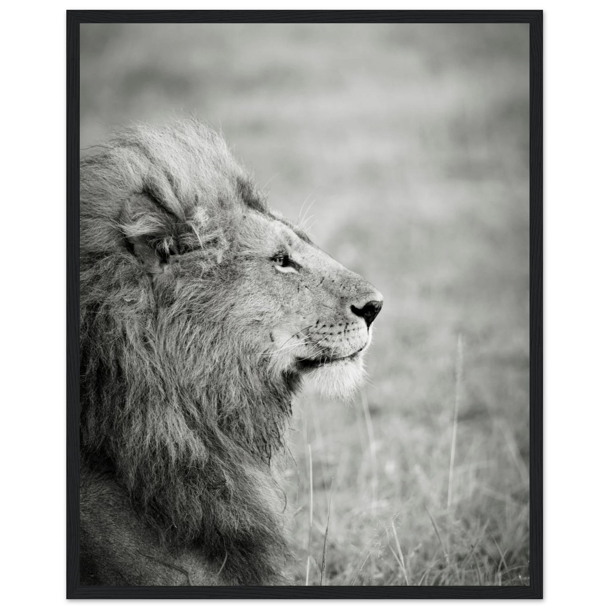 ab38e833-60a6-4f65-aa25-90dda9b56f02