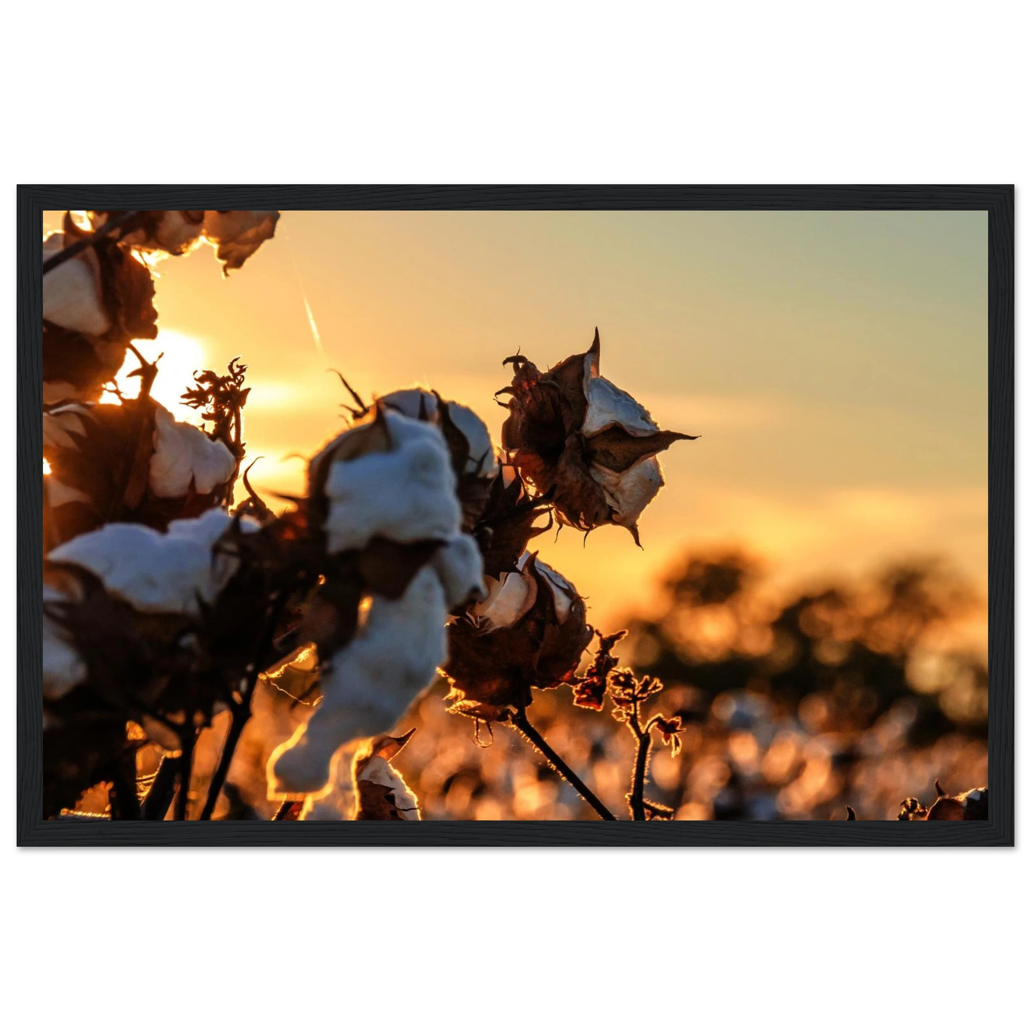 ab3c1243-5bbb-4e61-8735-3c4e3d4493a7