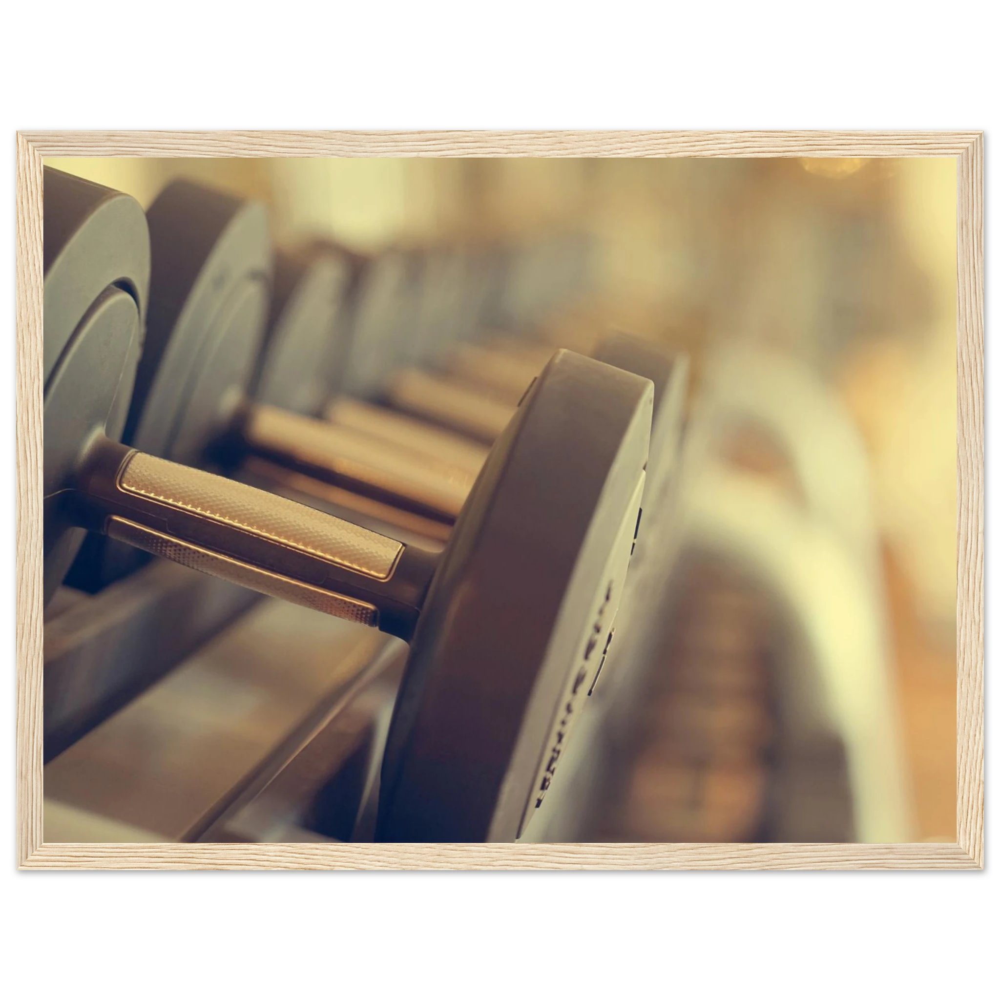 ab5985a9-4a4f-4378-a950-ac901e2a2c46