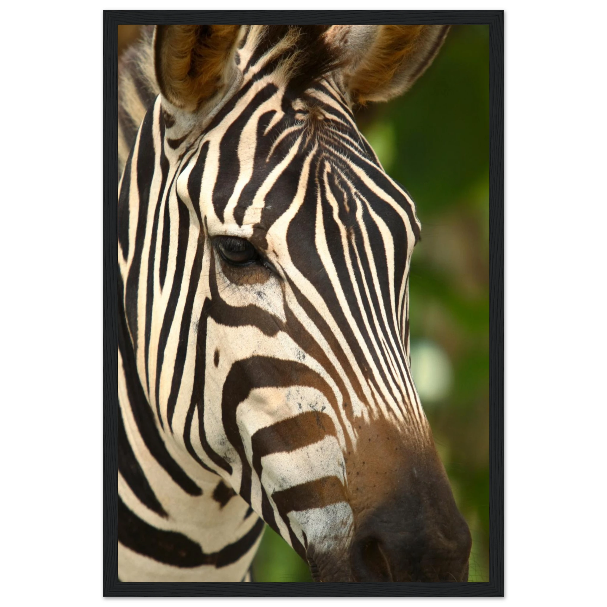 ab617b60-419e-4d75-9285-b04630fba62c