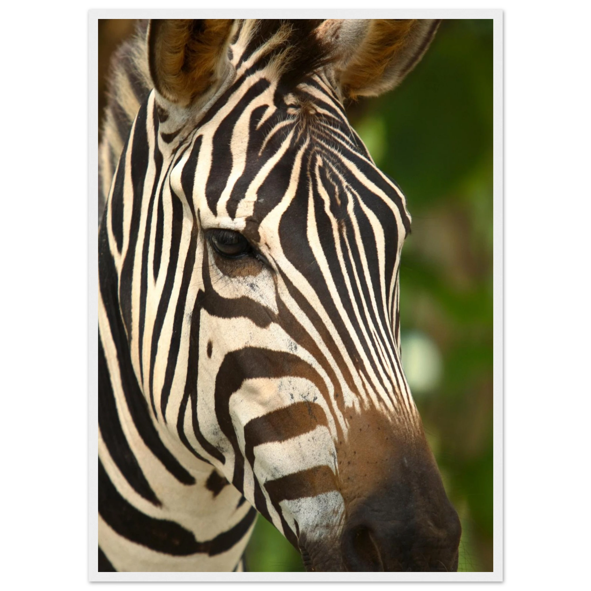 ab74ff10-7e6e-428f-8f9e-d8945a2ca807