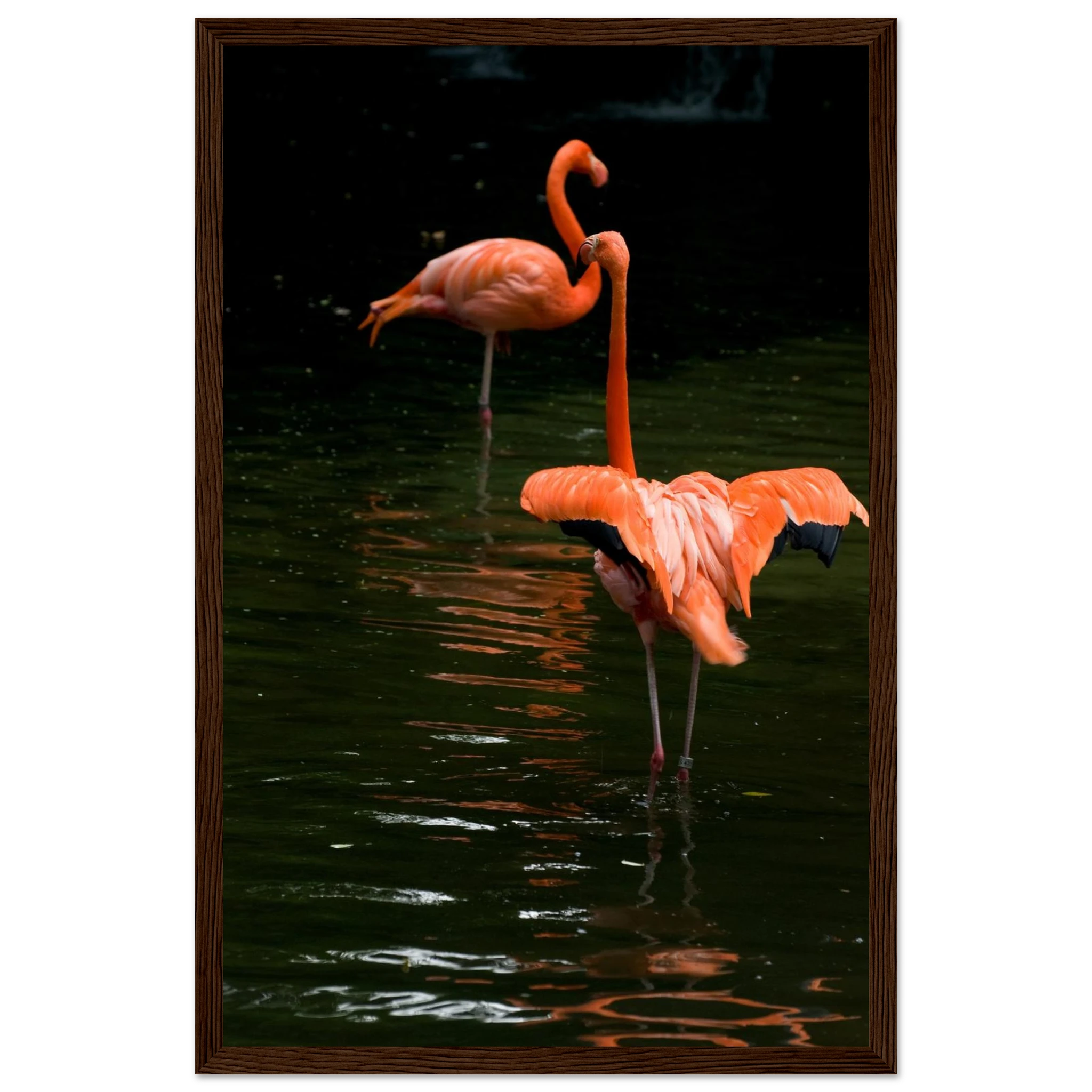 aba75539-3c38-4a32-9df5-3438a54d2287