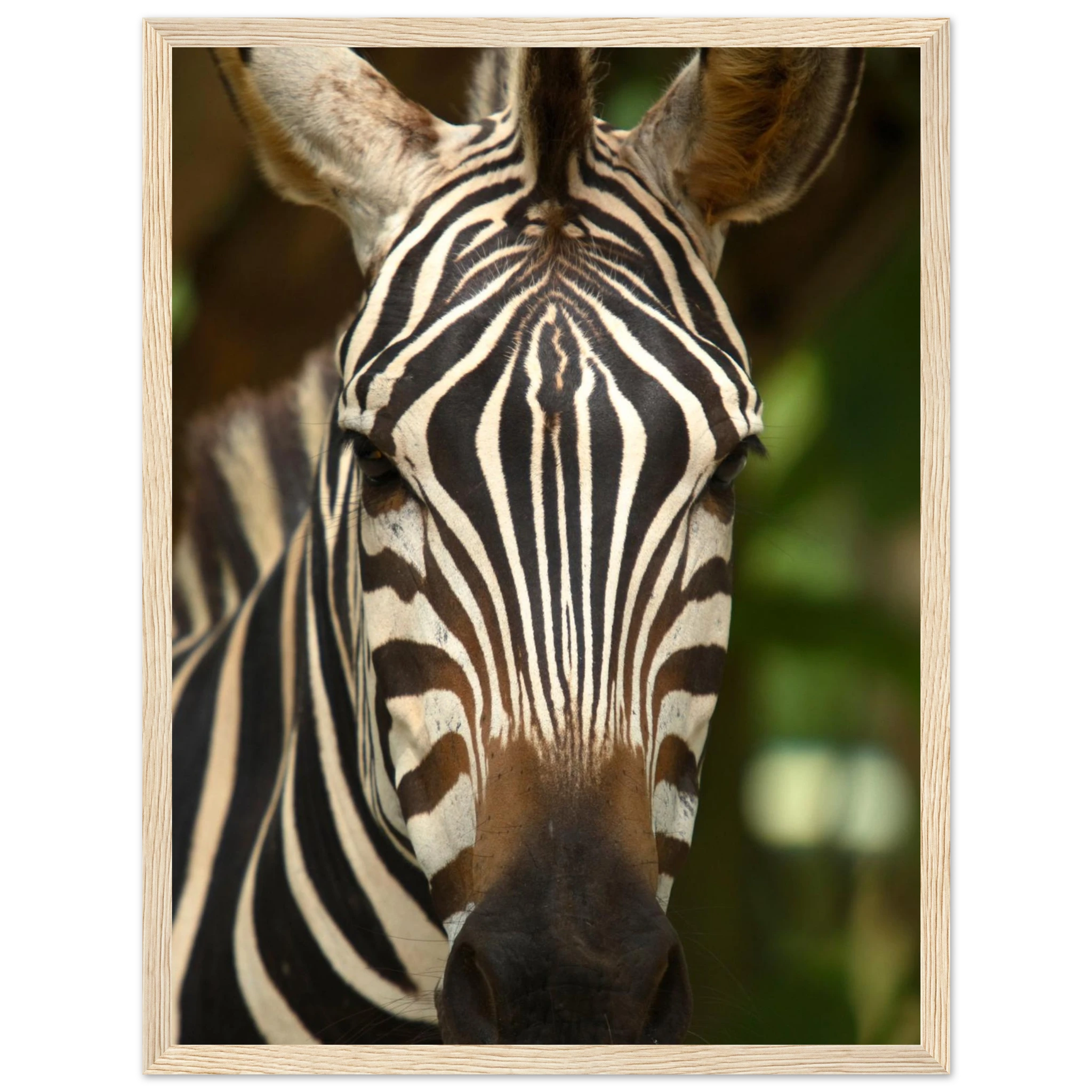 abba23ba-eef7-42f8-97cc-8661376c013b