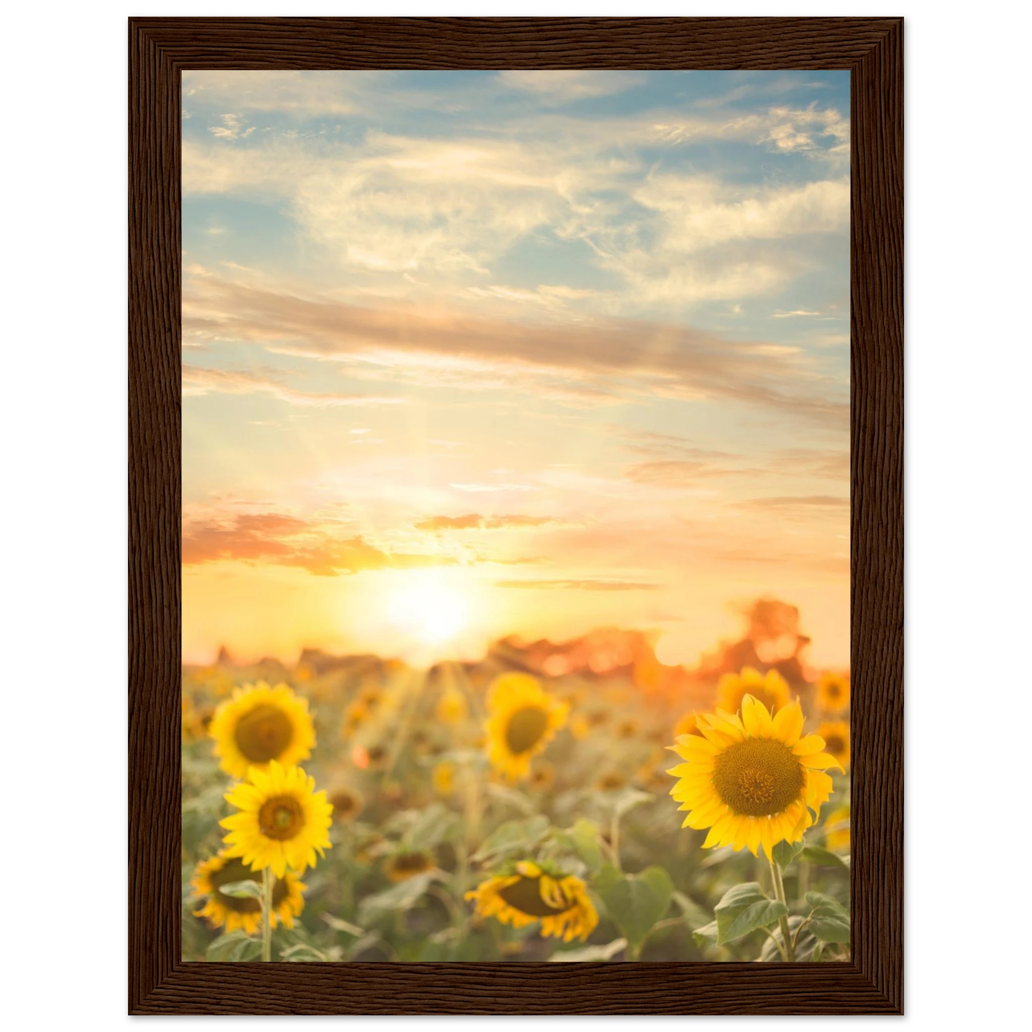 abc15116-4da0-40fd-957c-bfcf83d16c28