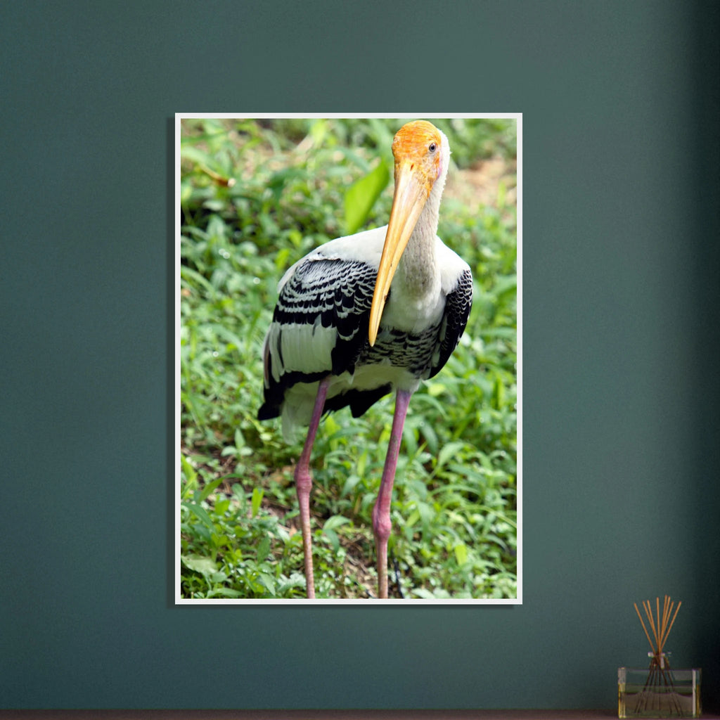 abd4b913-fe3f-482e-87e6-7f77cc9d1478