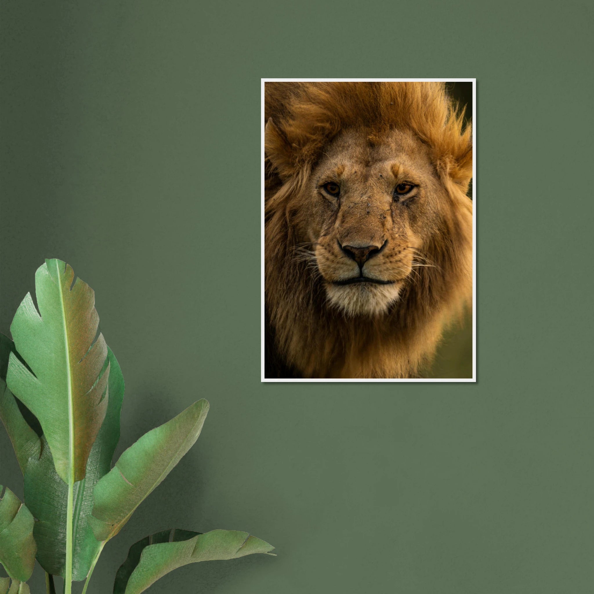 abeac332-ac43-4e14-9d37-c3499e037bbe