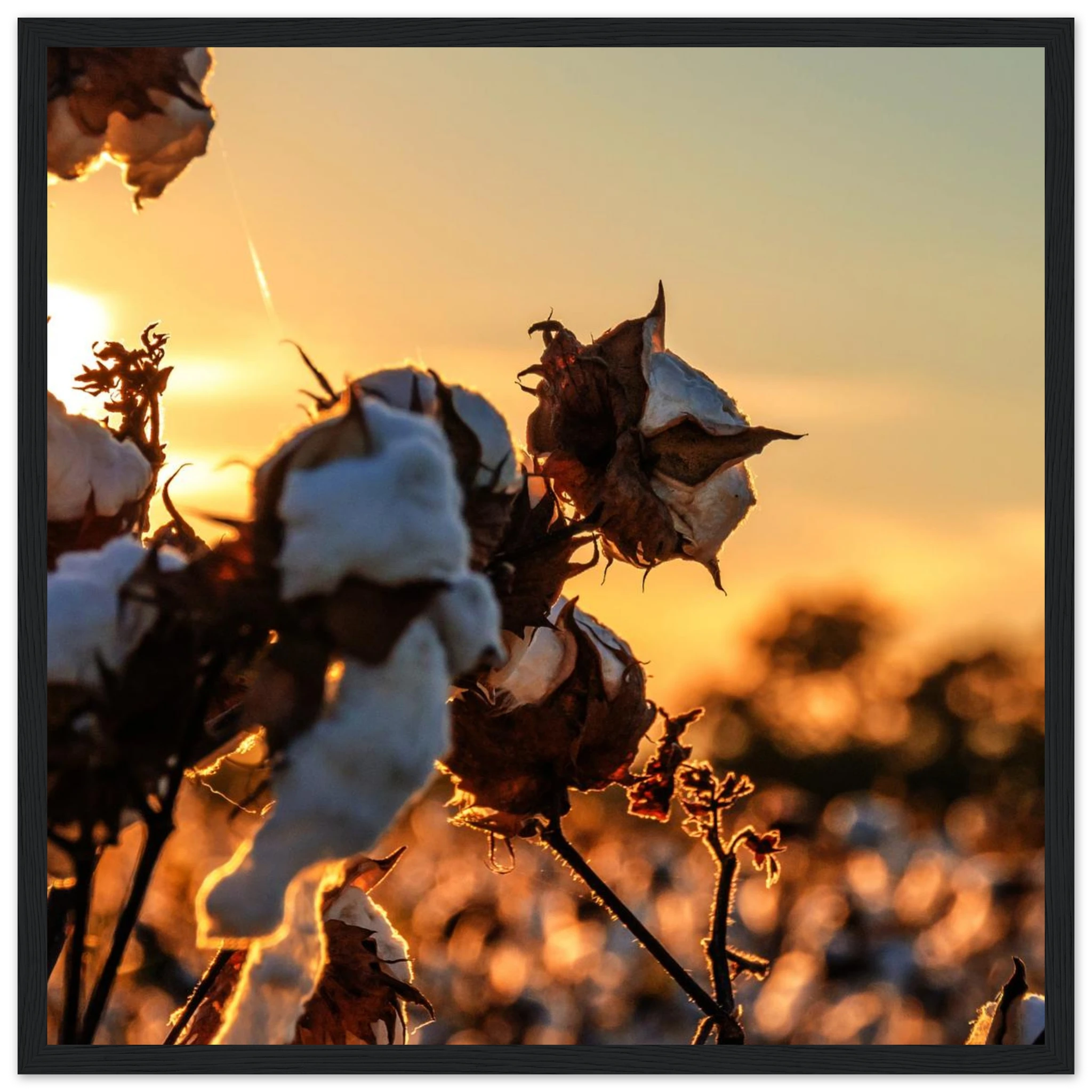 abeee3eb-b7c7-446c-9c0f-c177306d8262