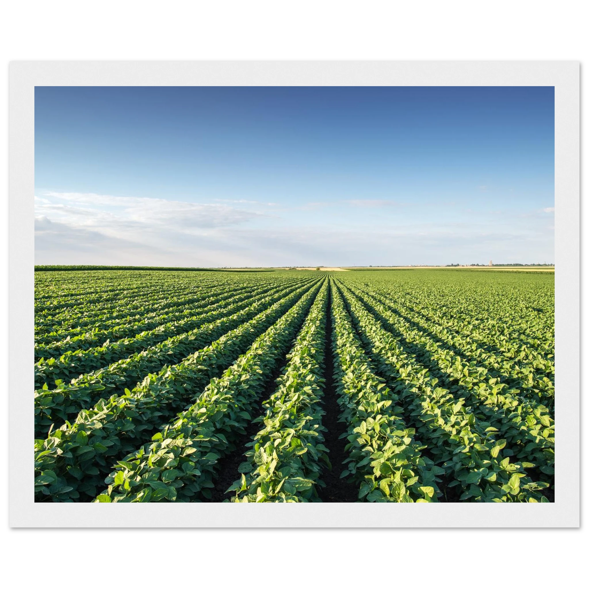 ac03857a-32a2-4112-b3eb-ba3ed69323ad