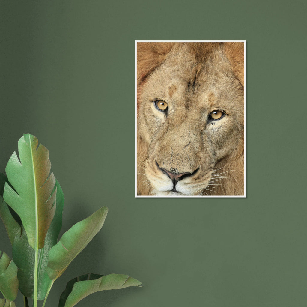 ac554d09-fbc9-48eb-8c8b-a2c2a32f84d0