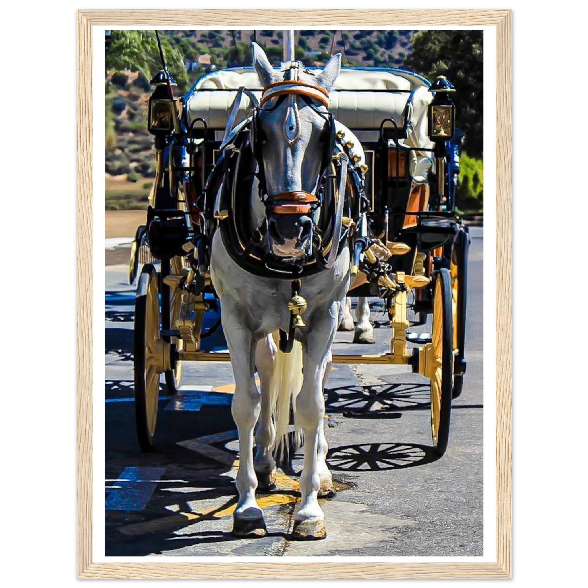 ac814374-462c-4a79-b4ac-7e7ee95472a3