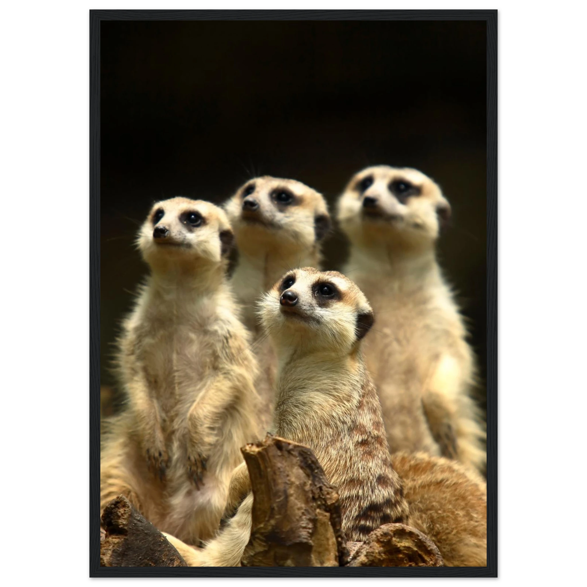 ac8ceba4-4e5f-4ad5-abd4-8d929f3a1275