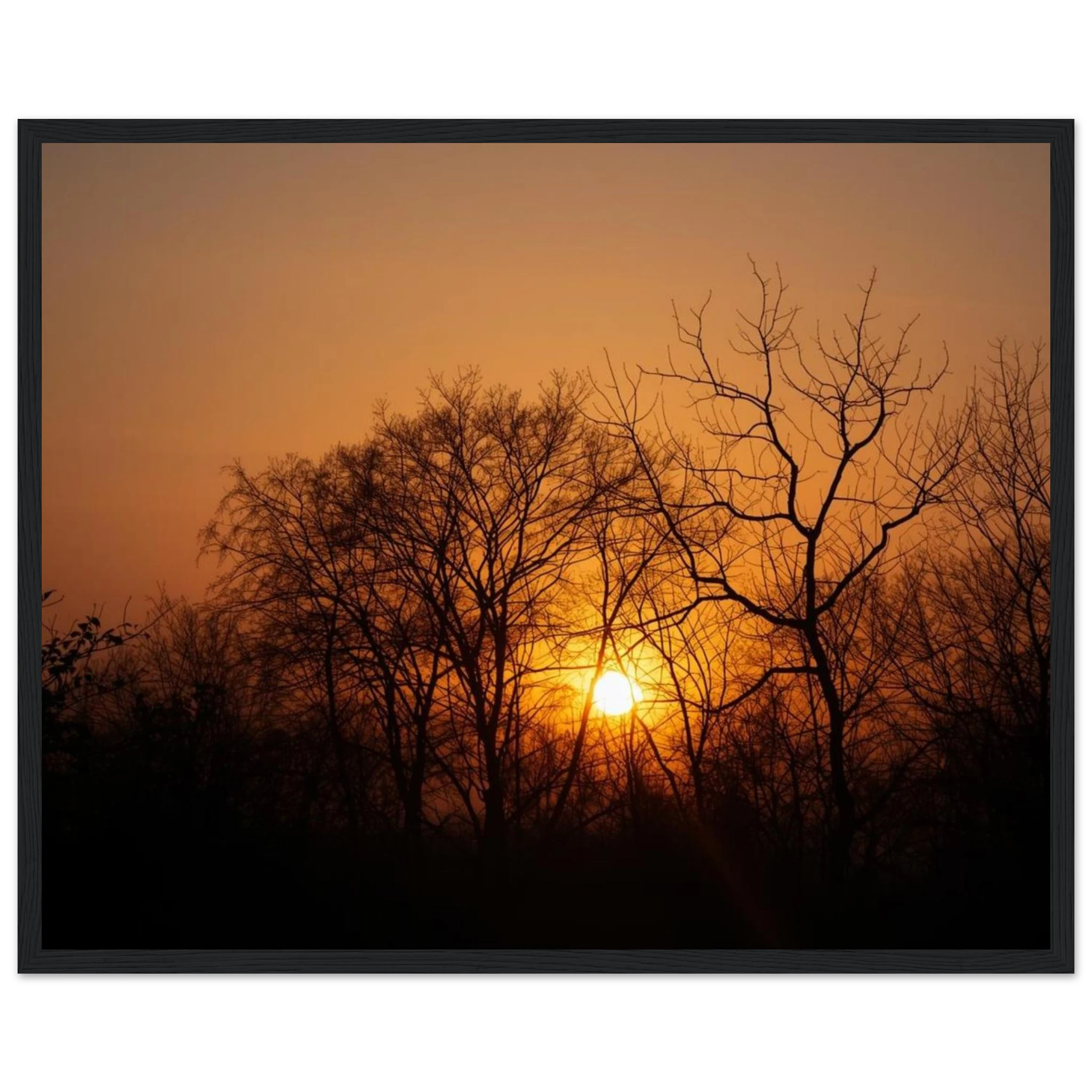 ac9e8397-ec47-4691-be6f-6170b6a57006