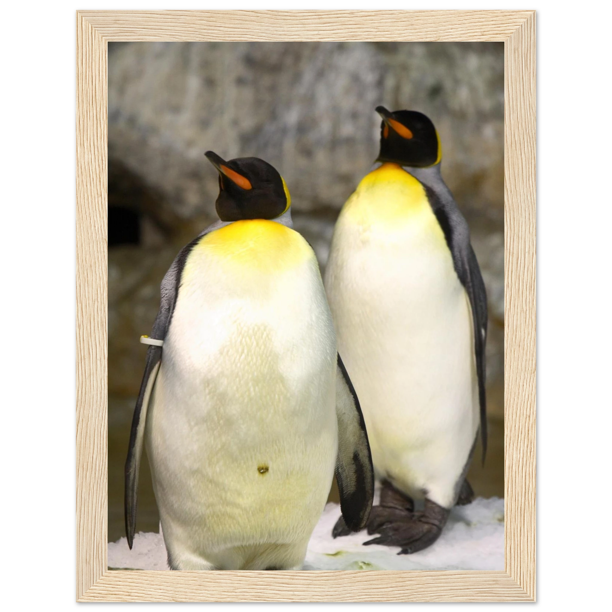 acaba5ca-fce3-4b96-ae79-a30c10a6ad67