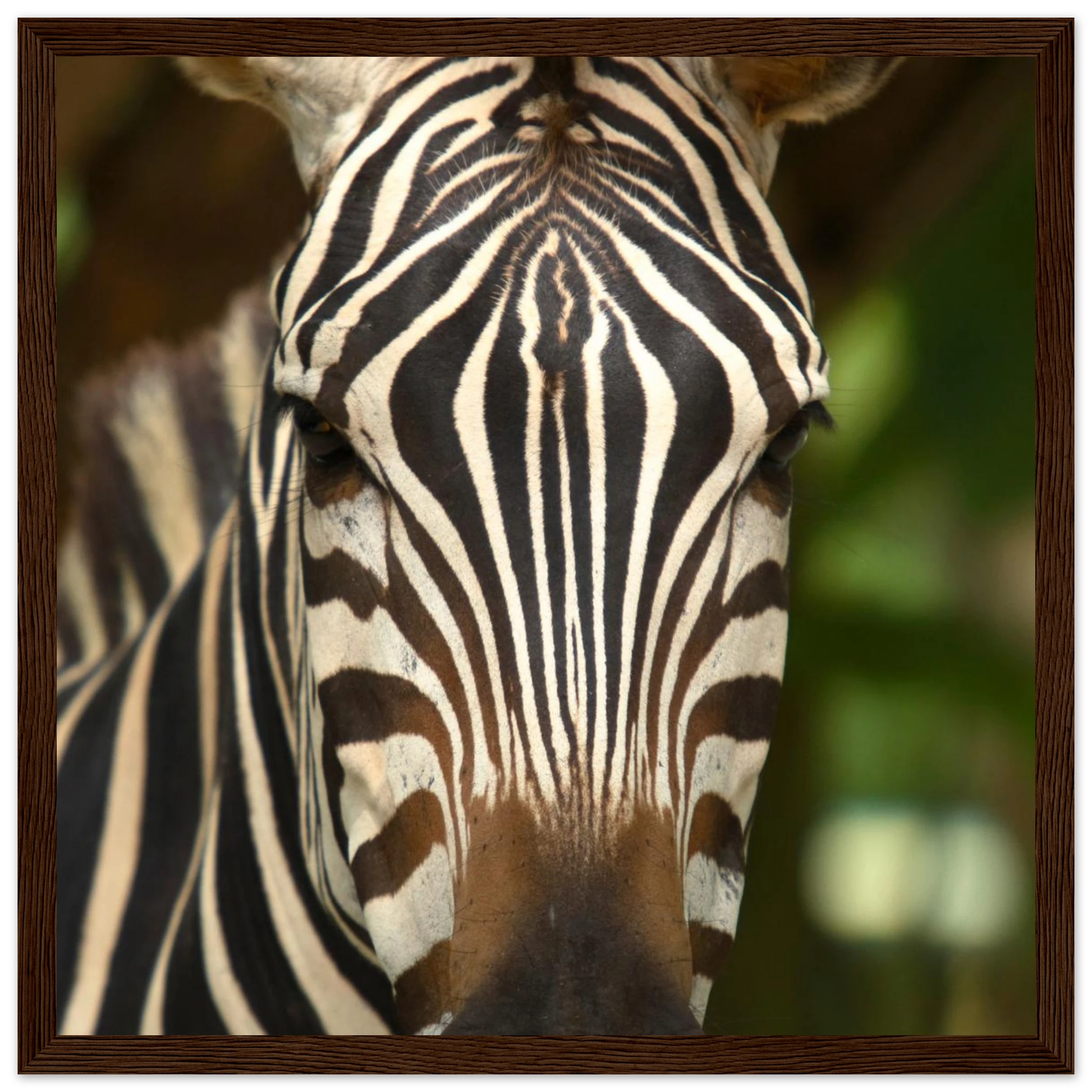 acc315e3-fe44-415e-a4e6-59fc5a8d3f6f