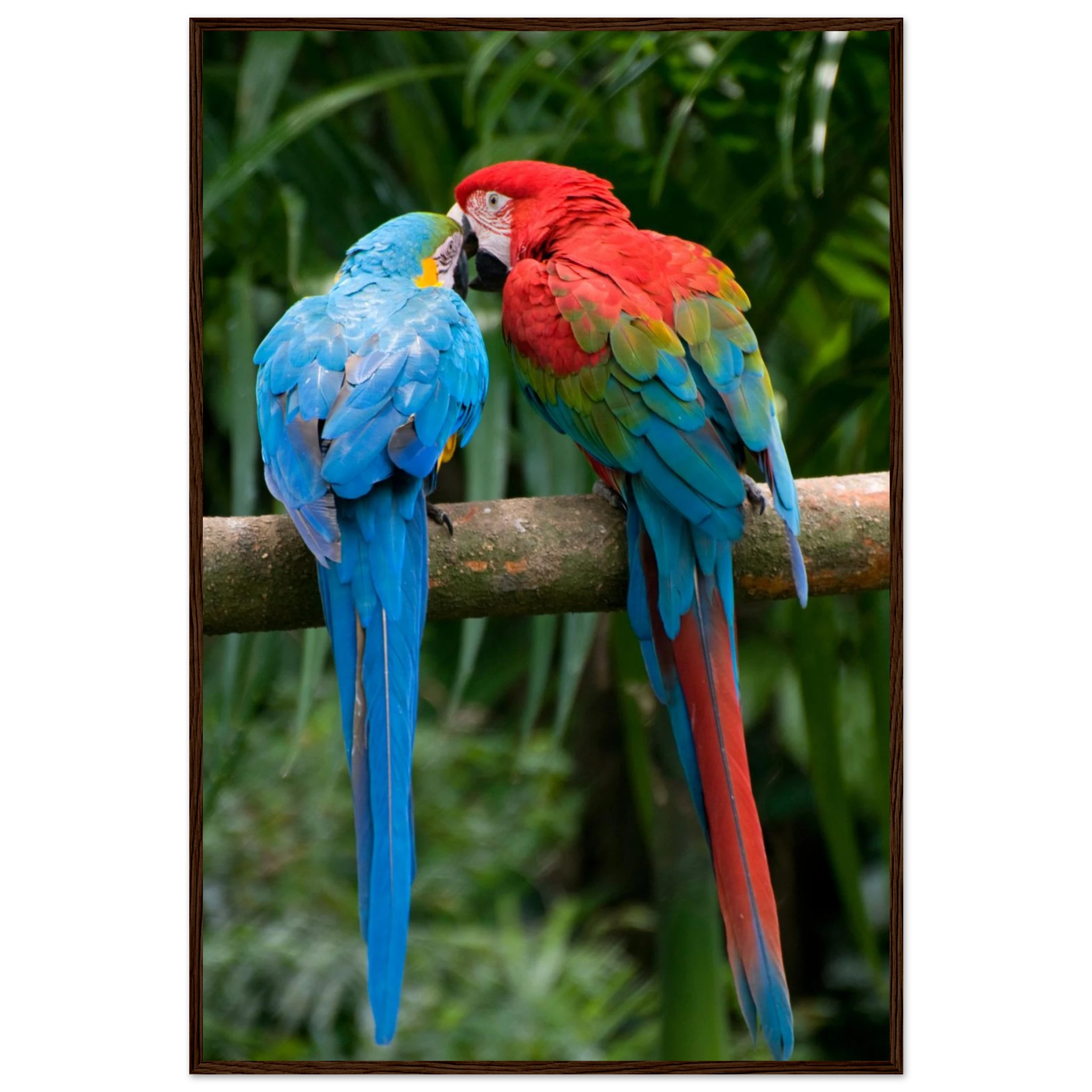 acc74e35-2104-4909-aa06-770e3bcc5852