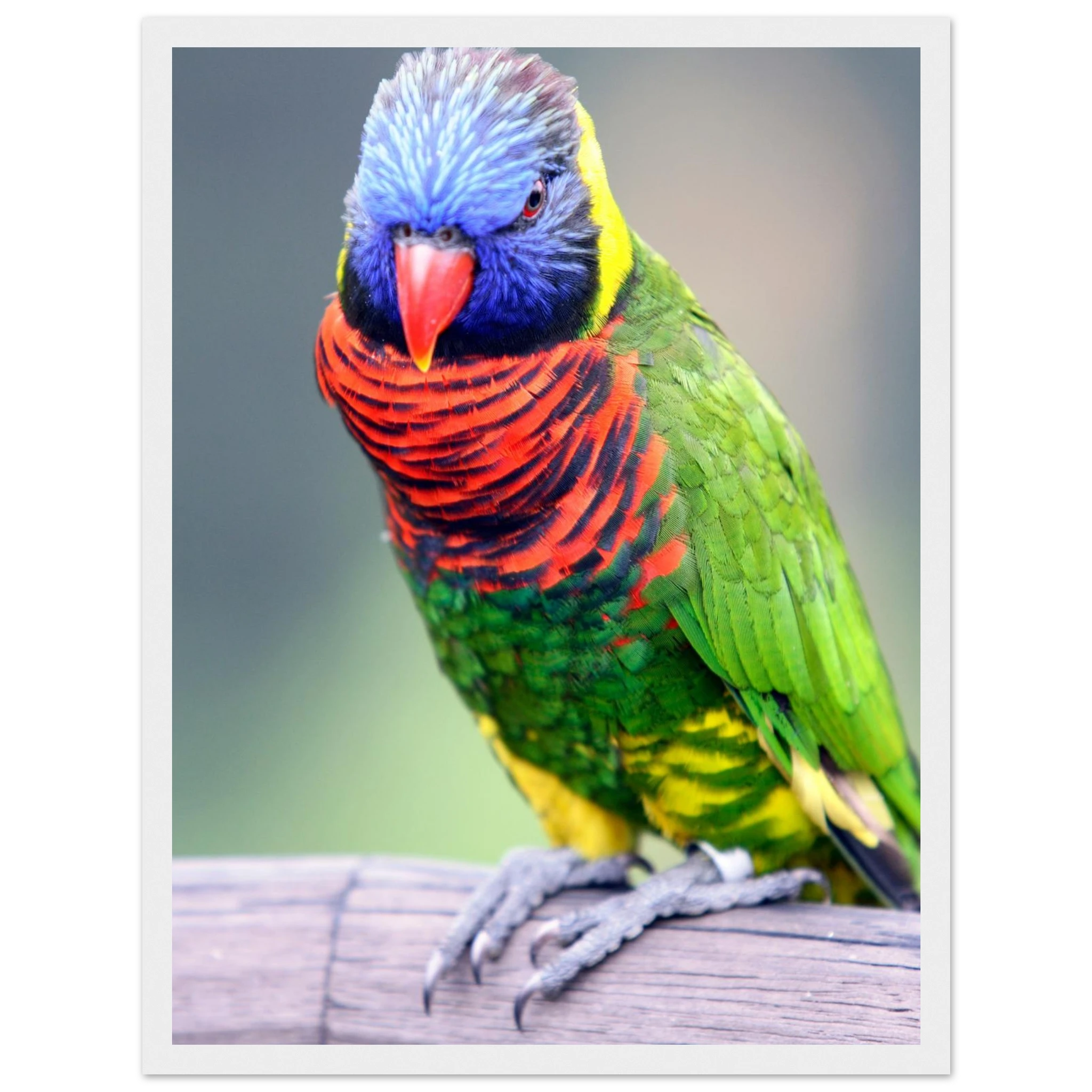 ace86756-5892-4304-a879-cd460a307923