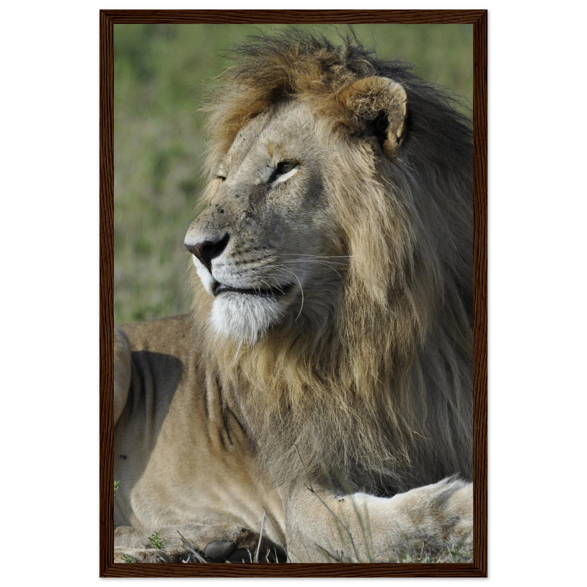 acf6f632-8264-4ca2-bf9d-1c8e92720e25