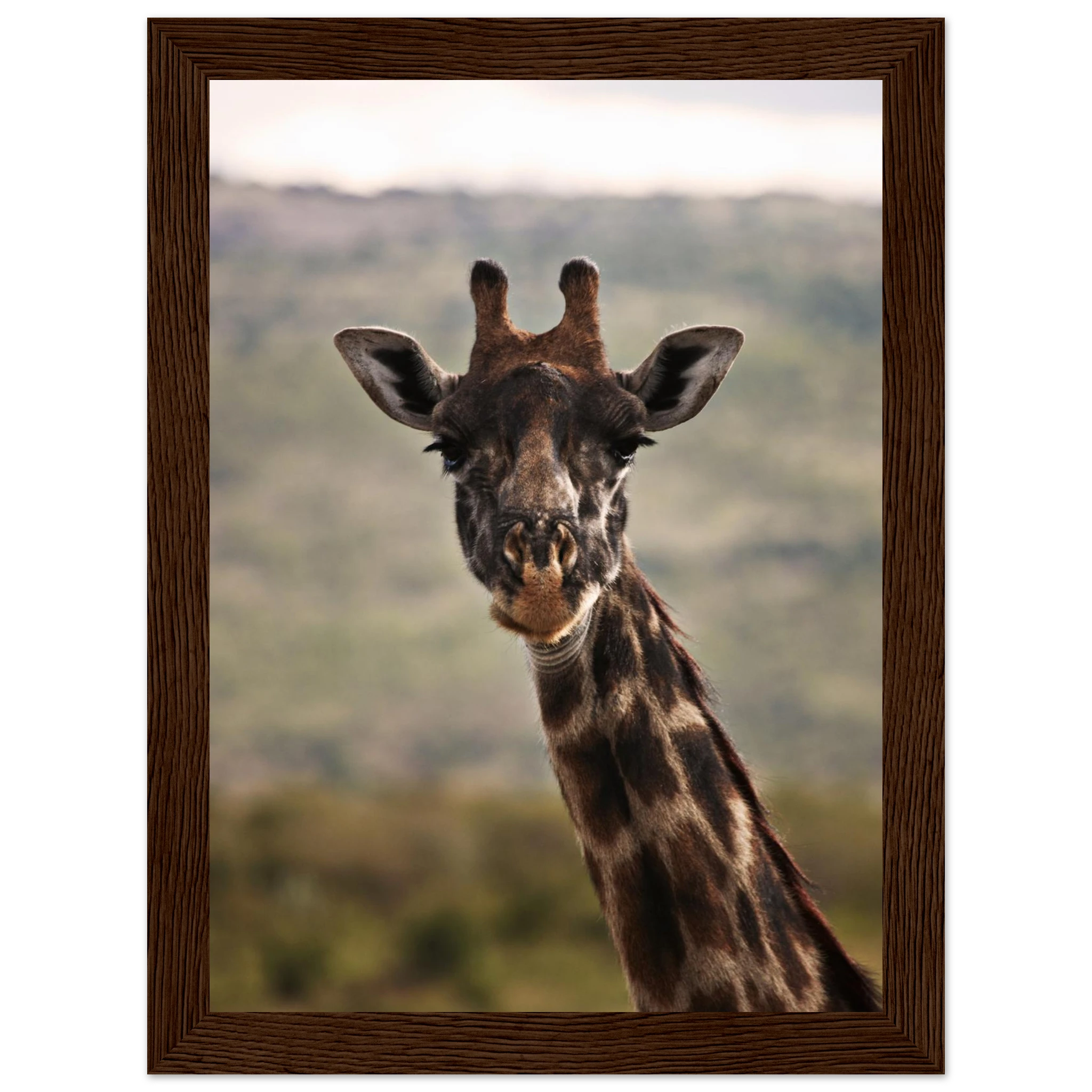 ad050c83-d706-4daa-8c4e-65285bc4458a