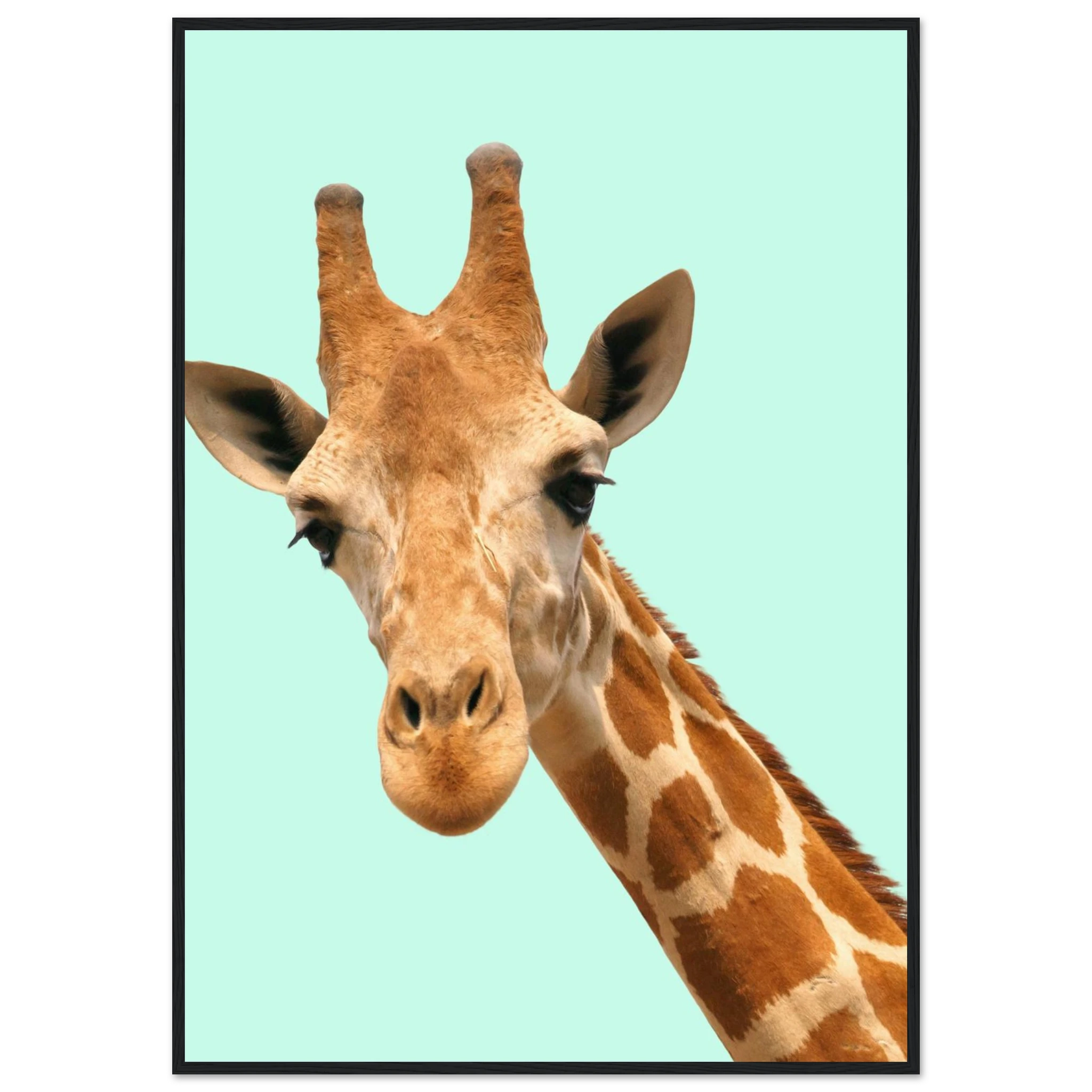 ad0816e8-bc0e-43cc-9bd0-ec845d82a192