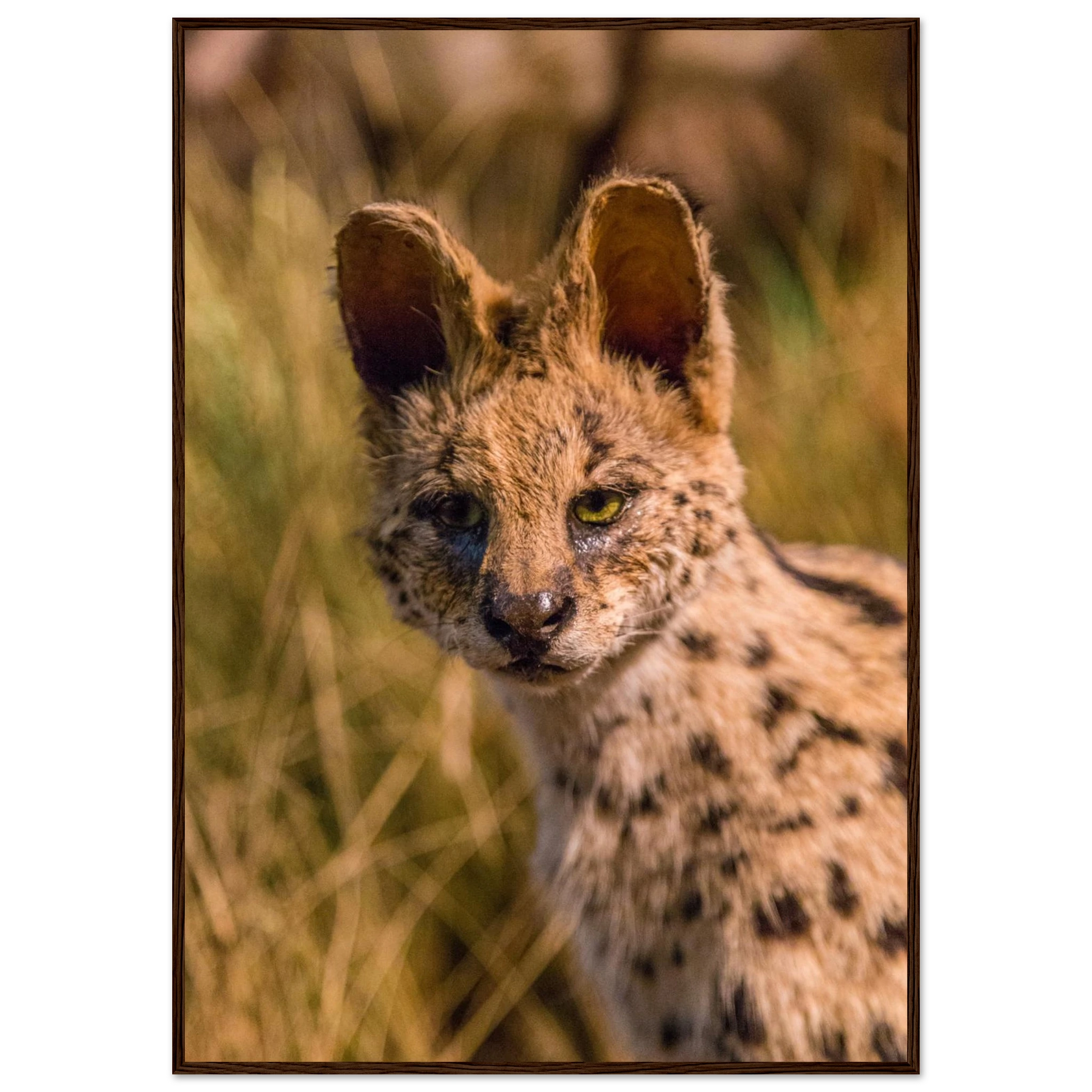 ad116979-4902-4adb-9a61-ba28dcad0d7d