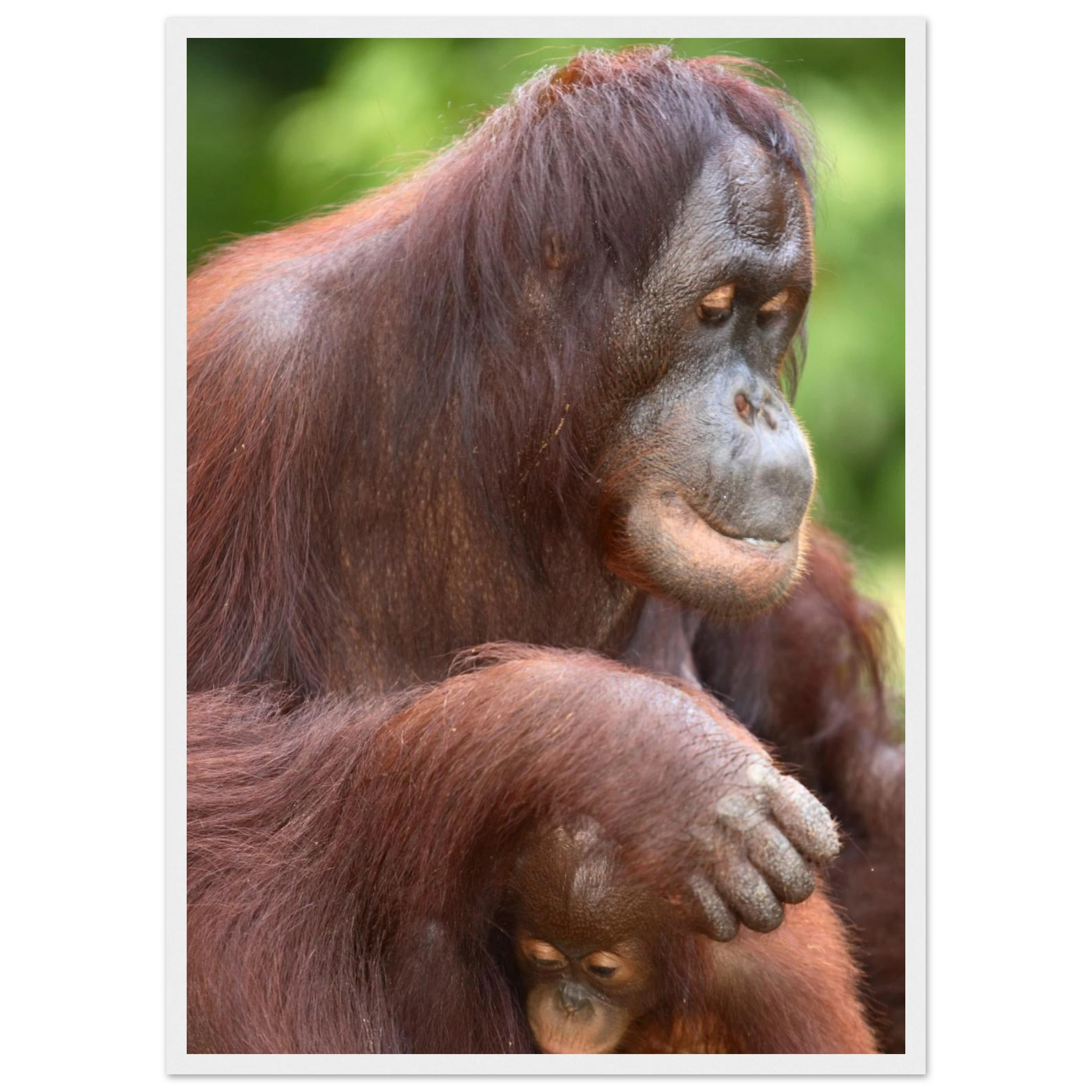 ad12d04f-00d4-41f0-8778-d48367e58546