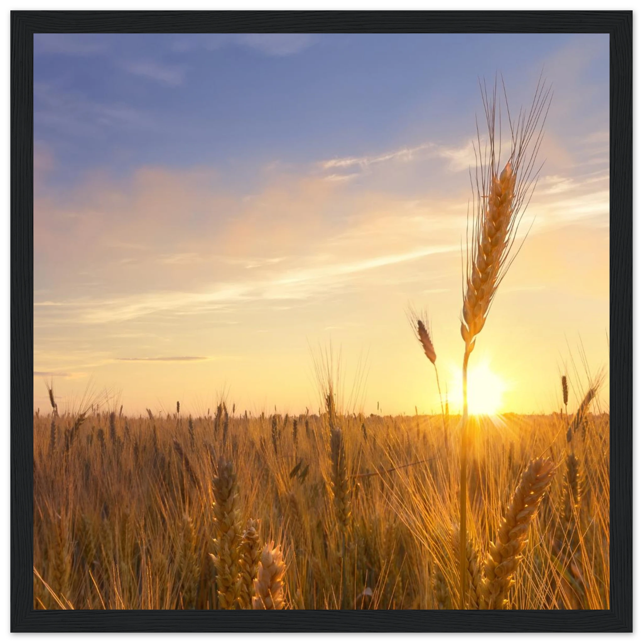 ad230e11-f734-45a2-9de3-fc0e76074071